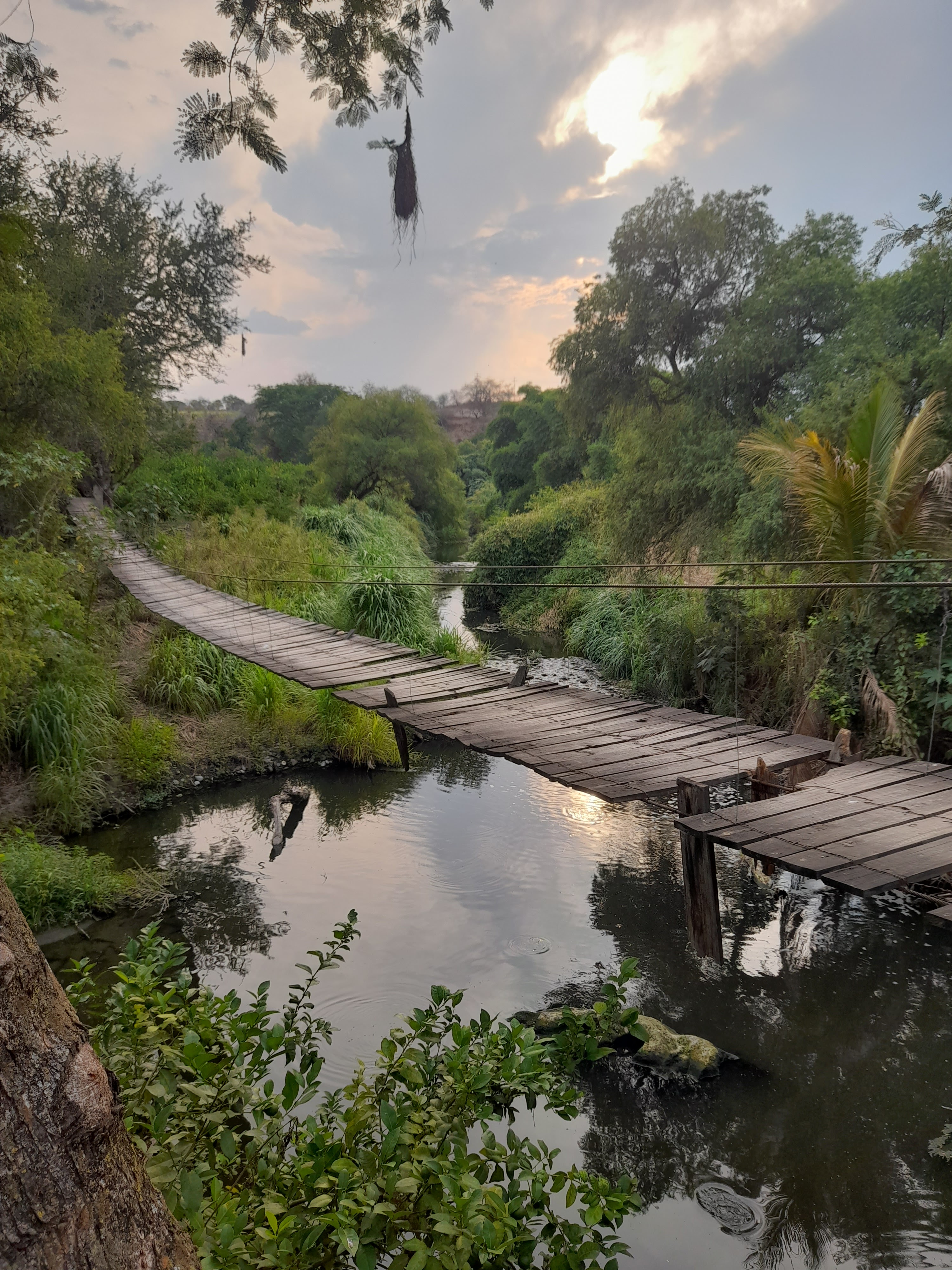 Restaurante El Coquito image 10