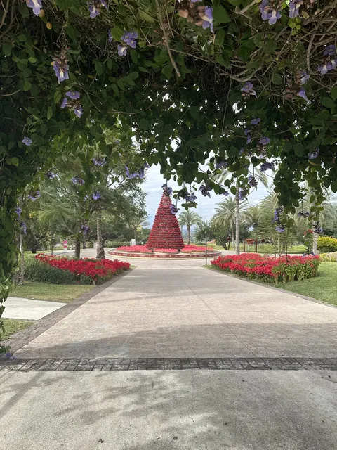 Dalia image 7
