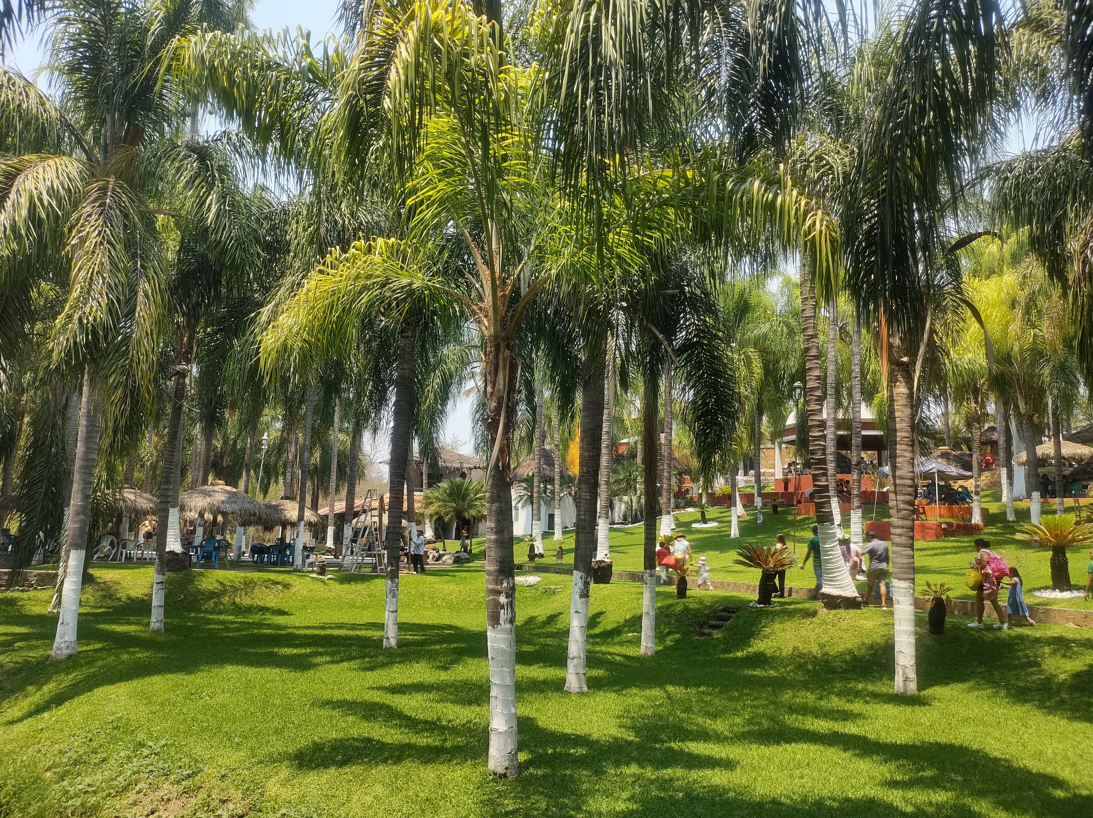 Restaurante Los Cocos image 3