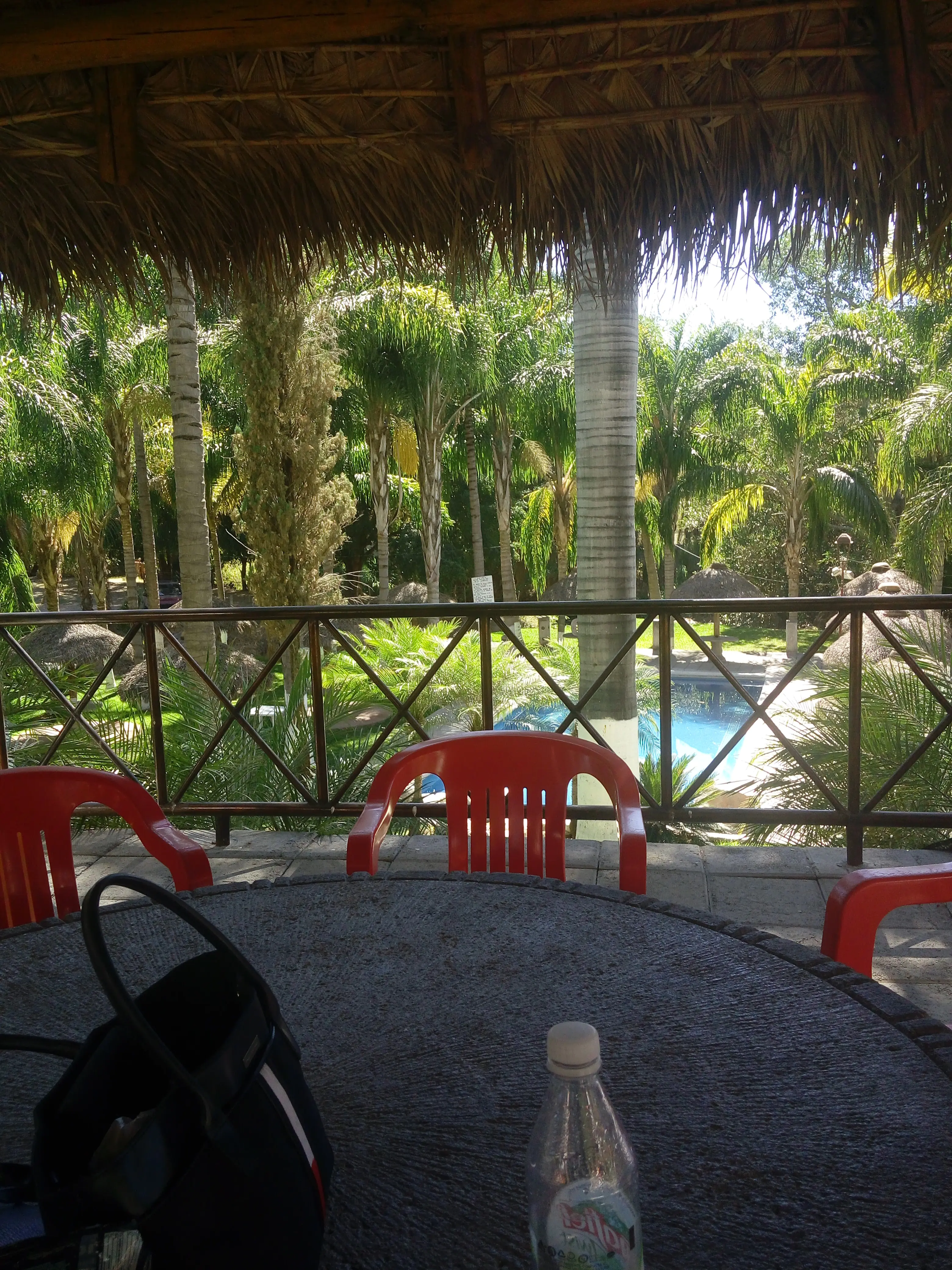 Restaurante Los Cocos image 8