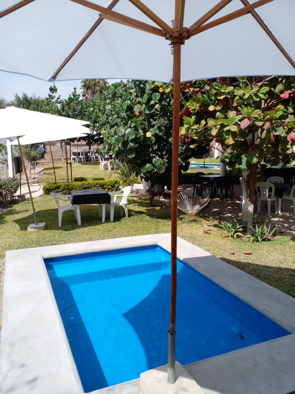 Restaurante bar Zona Dorada image 3