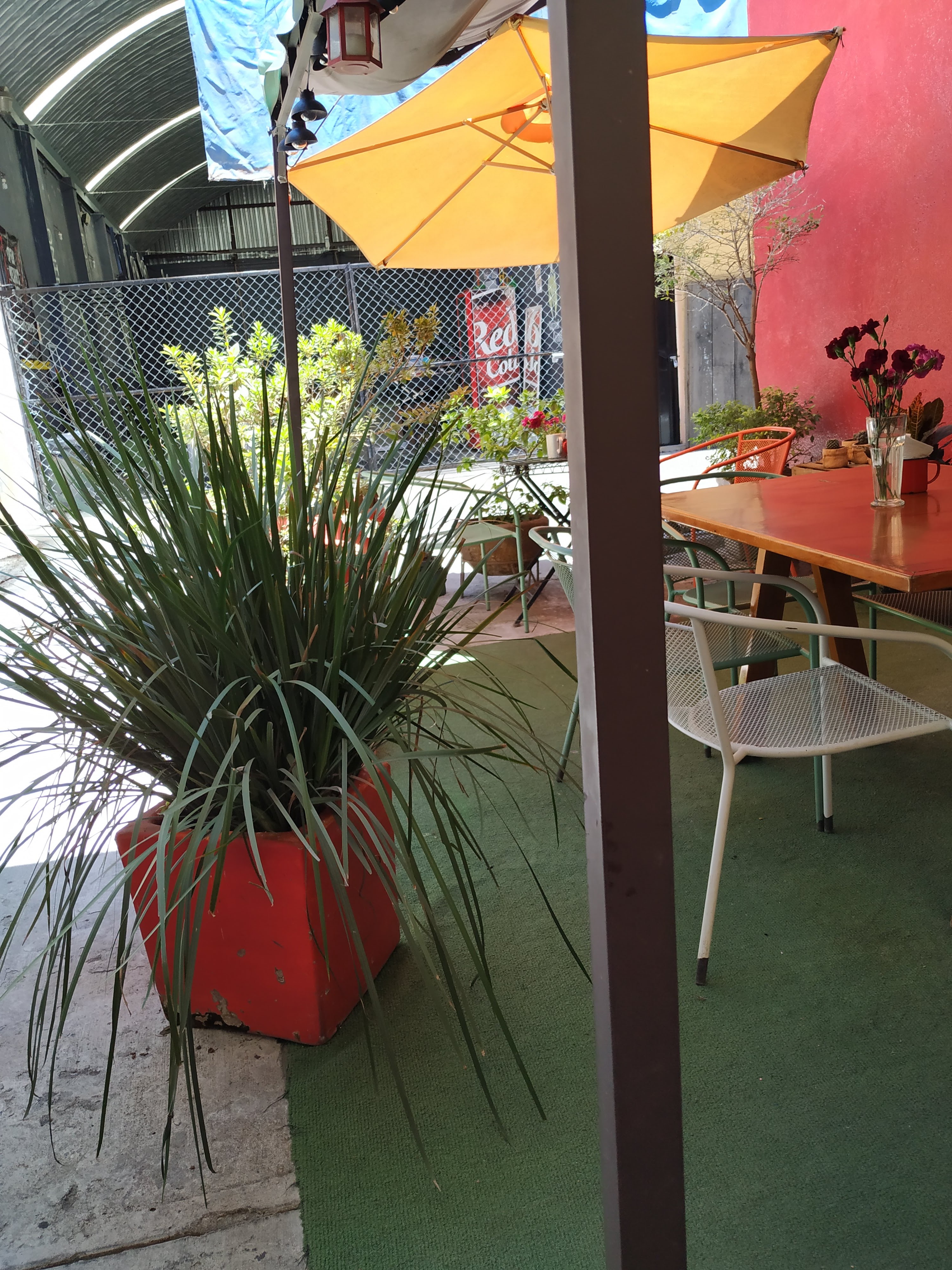 Snack & Coffee Avenida 88 image 4