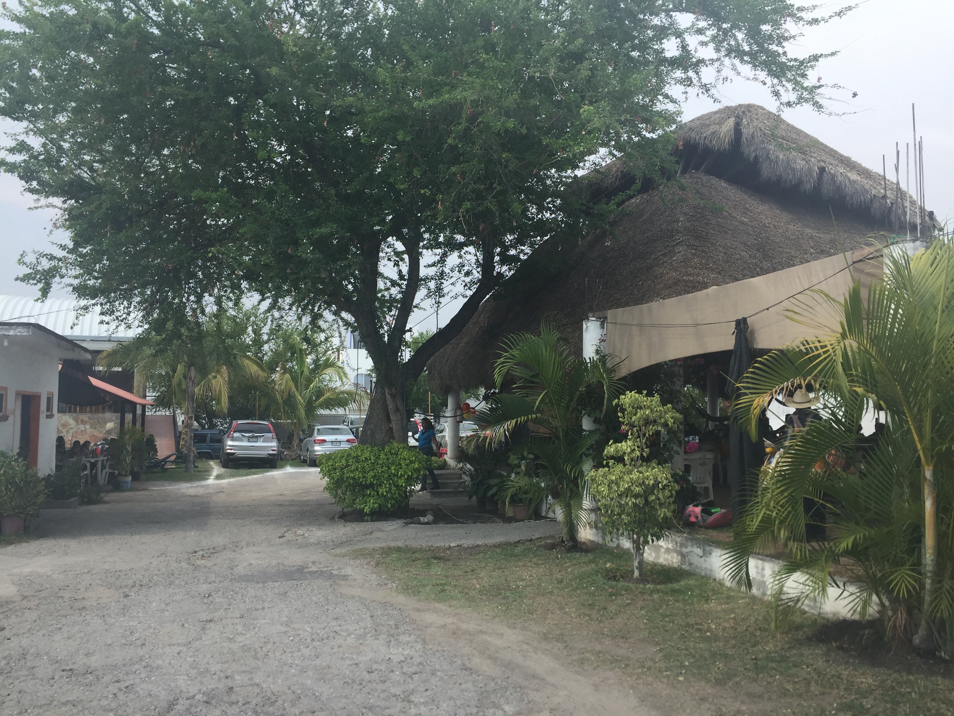 El Sabor de Teques image 6