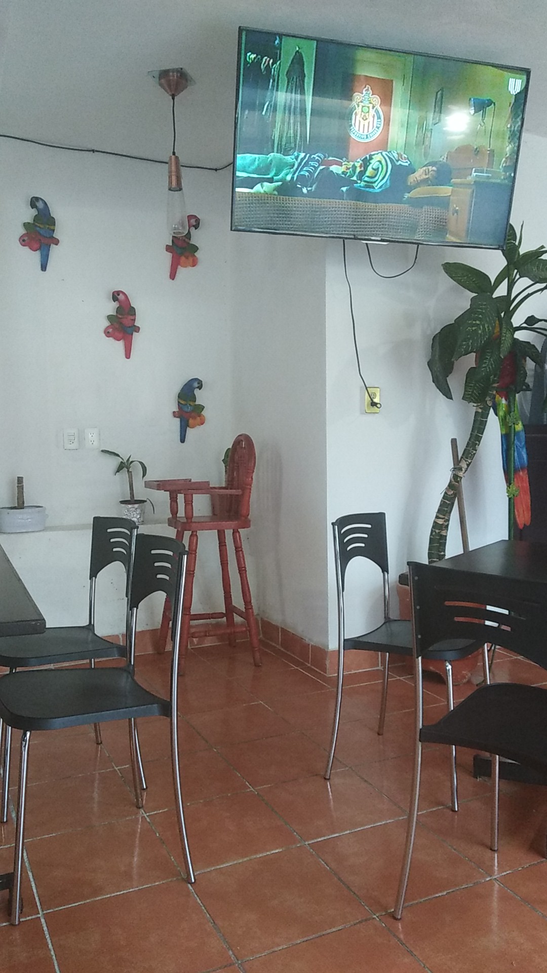 RESTAURANT "LA GUACAMAYA " image 6