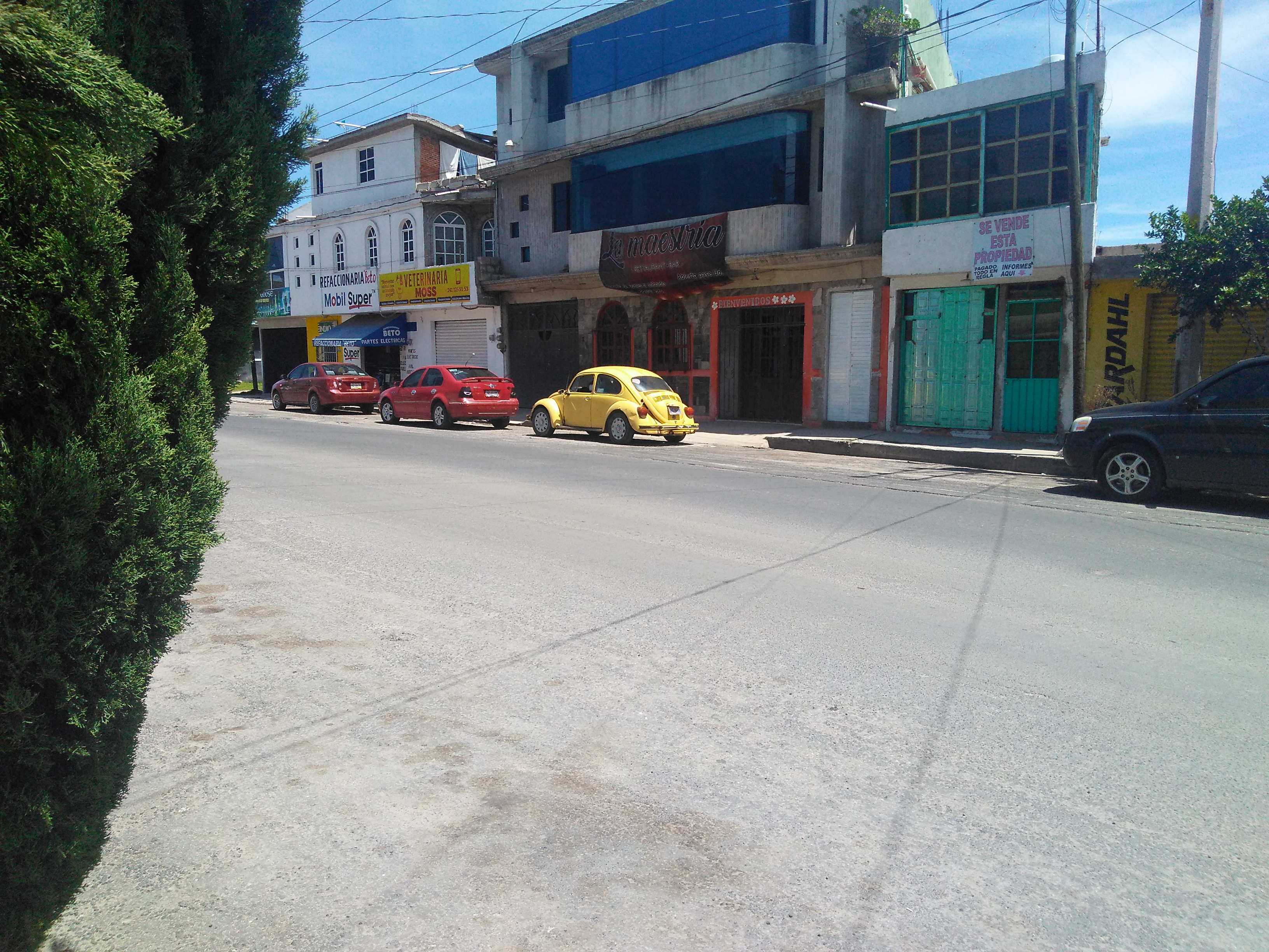 LA MAESTRIA RESTAURANTE BAR image 1