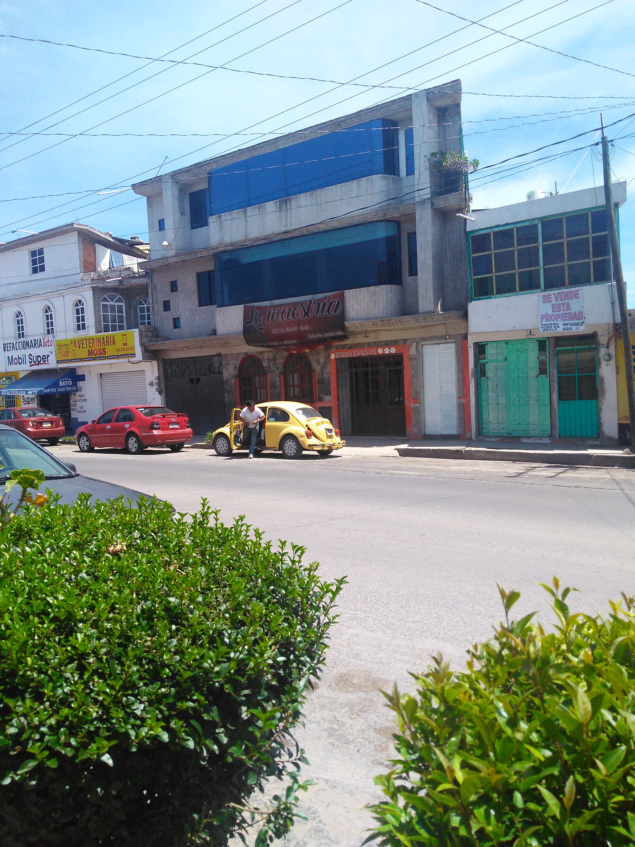 LA MAESTRIA RESTAURANTE BAR image 2