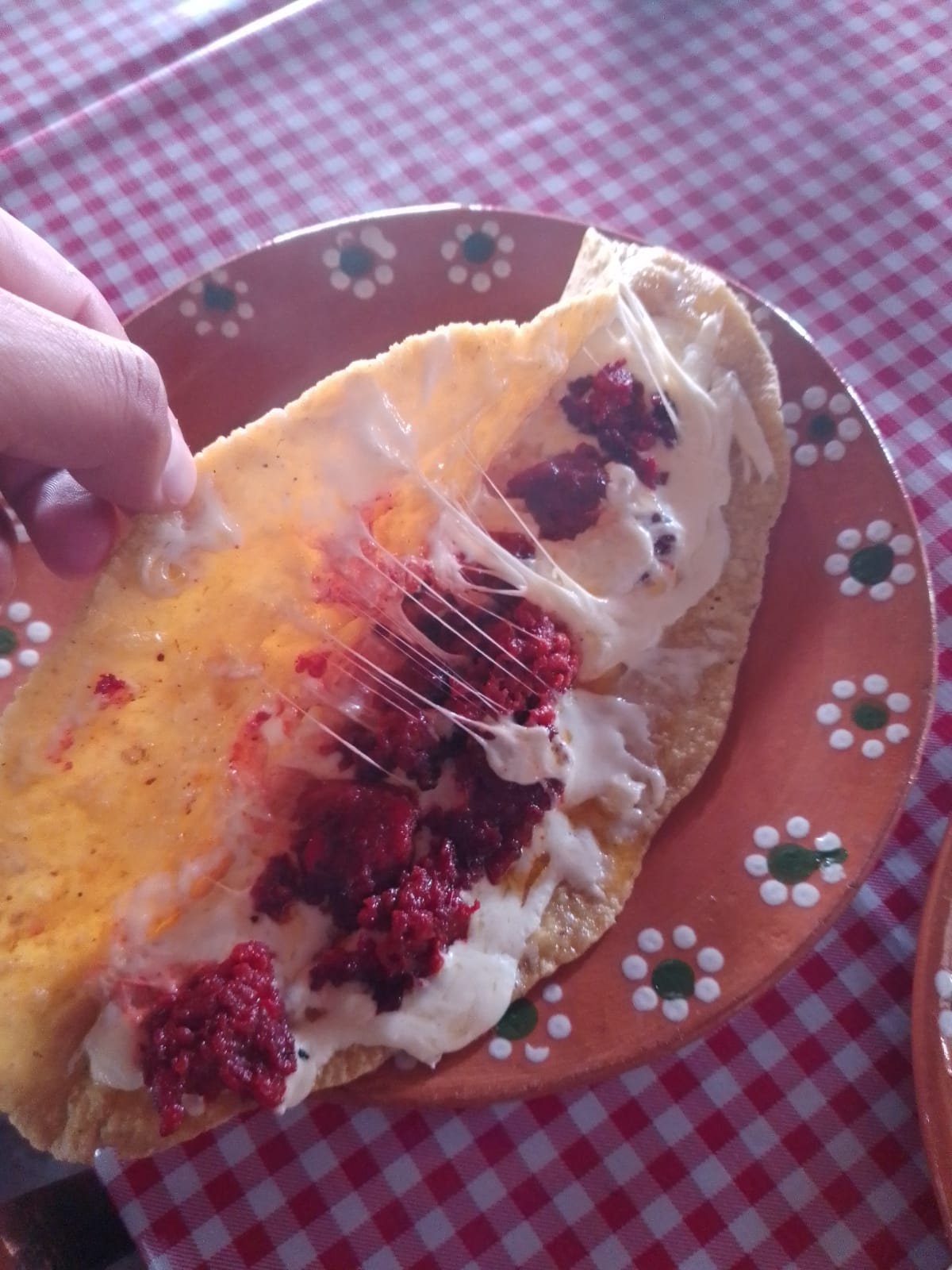 MI RANCHITO RESTAURANT CAMPESTRE image 6