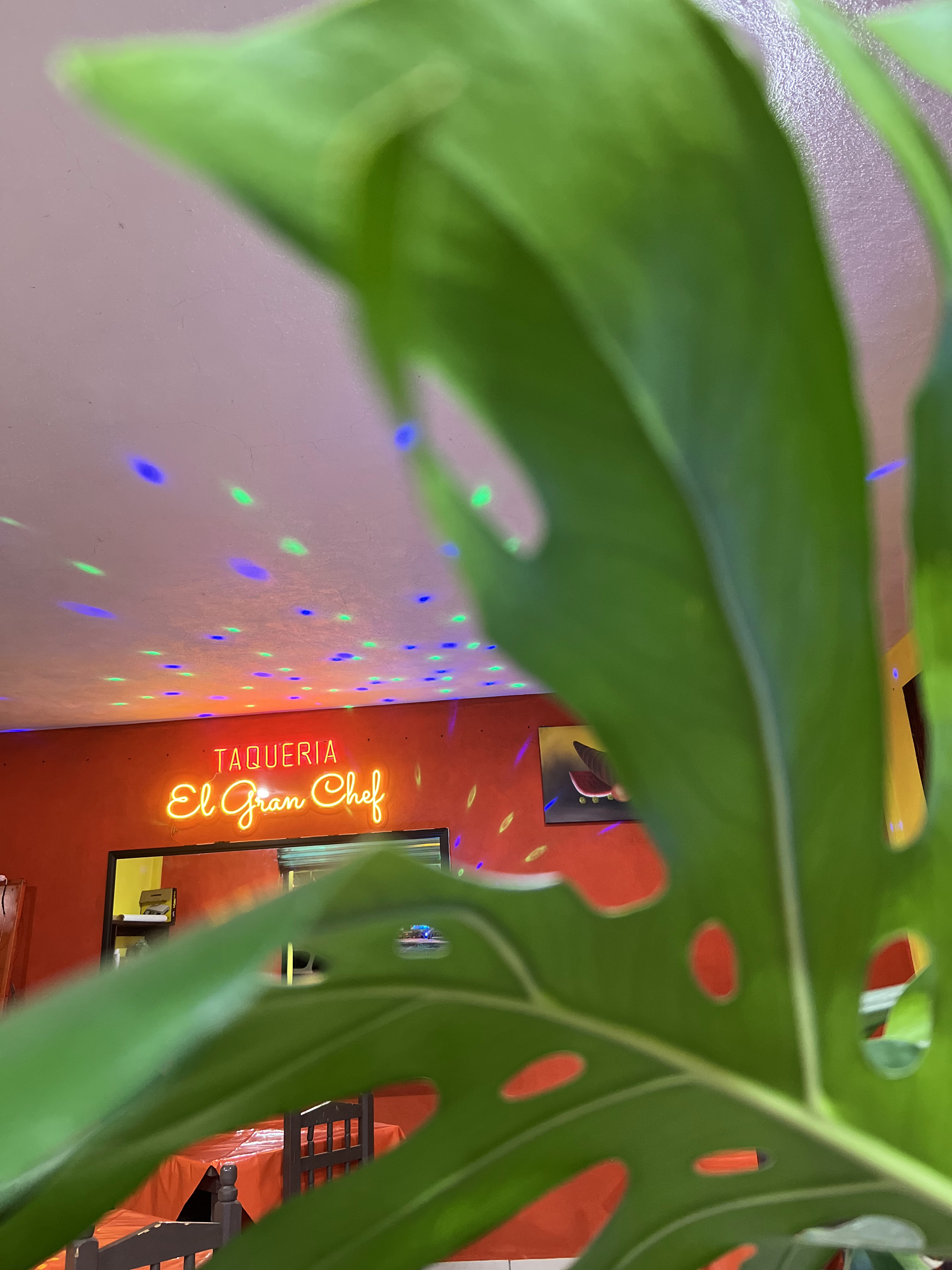 Taquería el gran Chef image 3