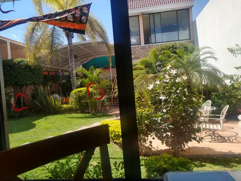 Restaurante Ishla image 5