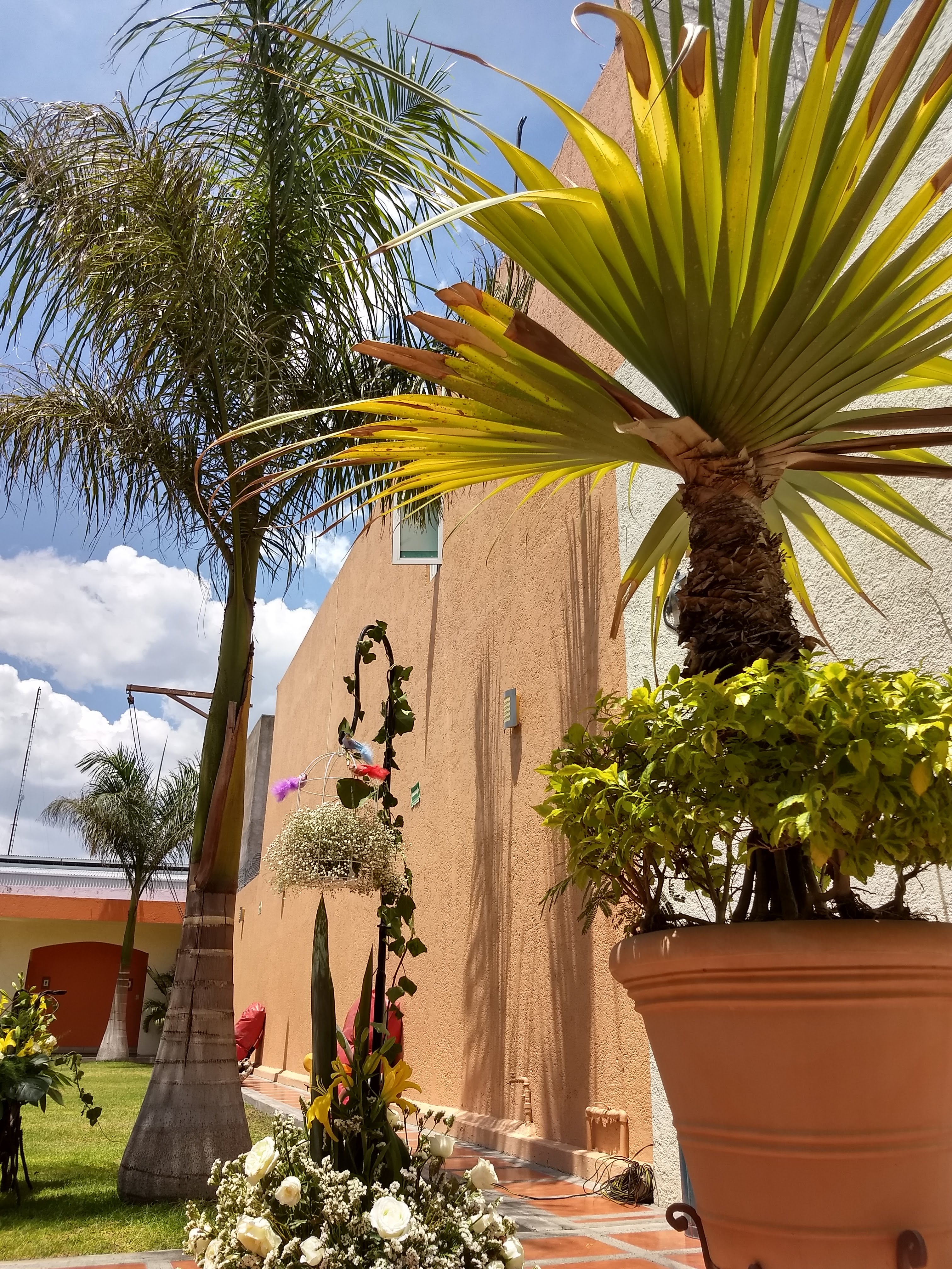 Restaurante Fakalá - La Cuna del Sabor image 9