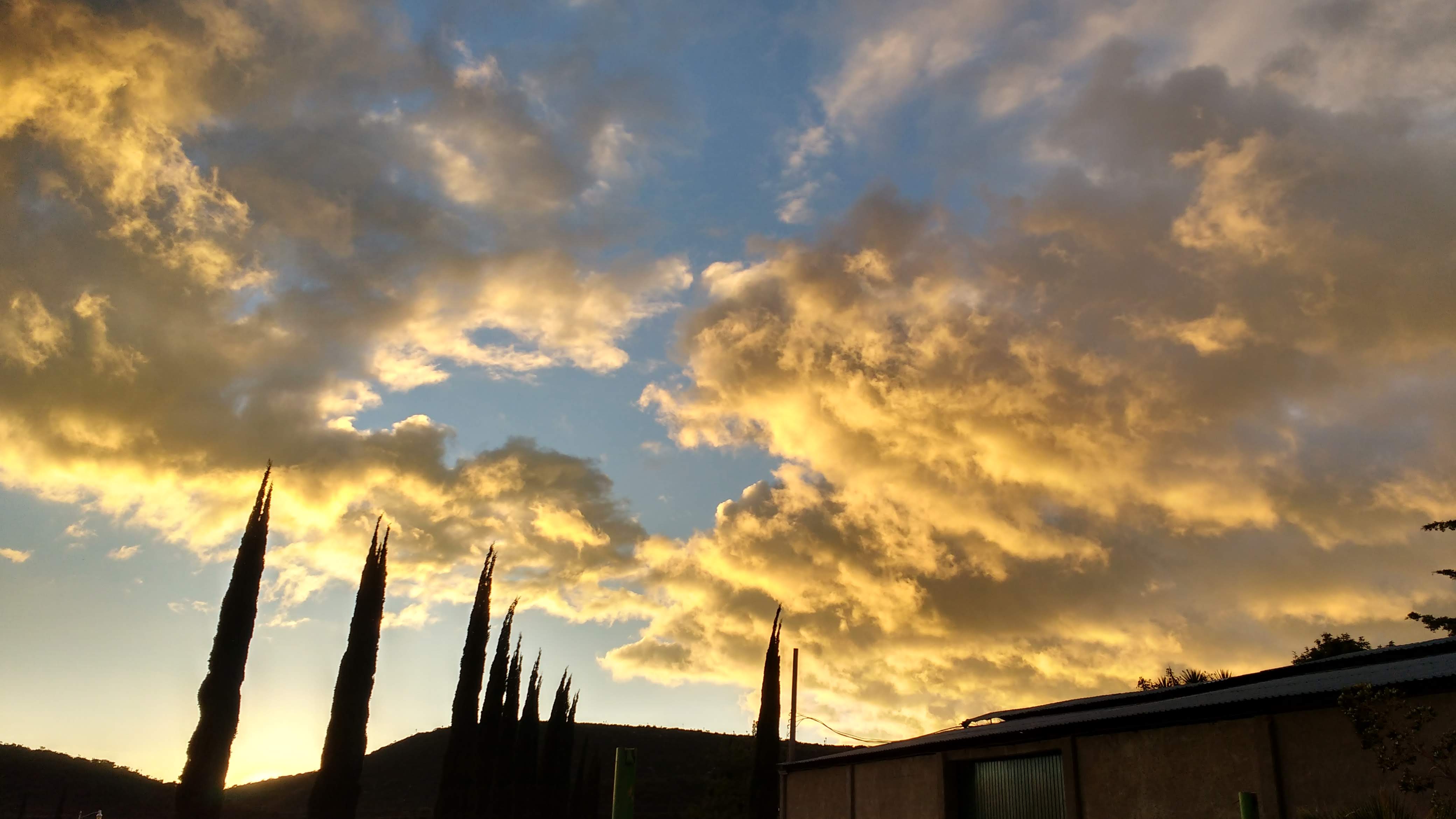 Los Cipreses Restaurante Salón Jardin image 3