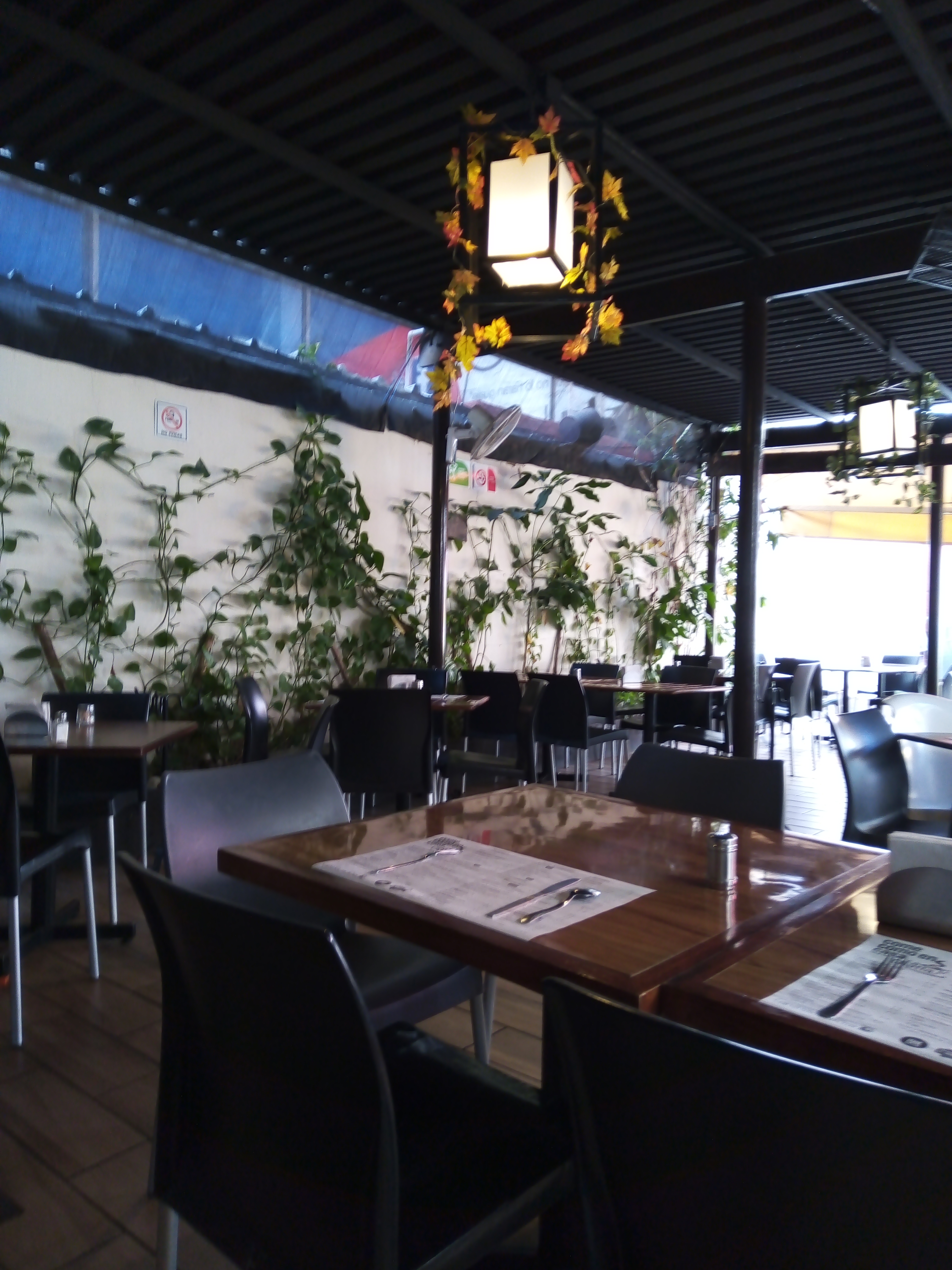 Restaurante La Chatta Plaza Tehuacan image 9