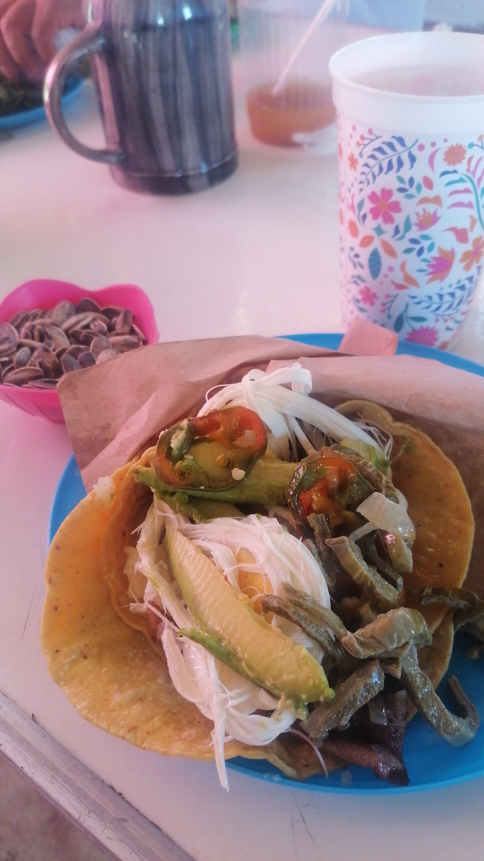 Pulques de la subida del panteon. image 4