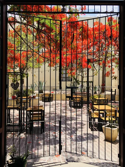 Maple Restaurant image 1
