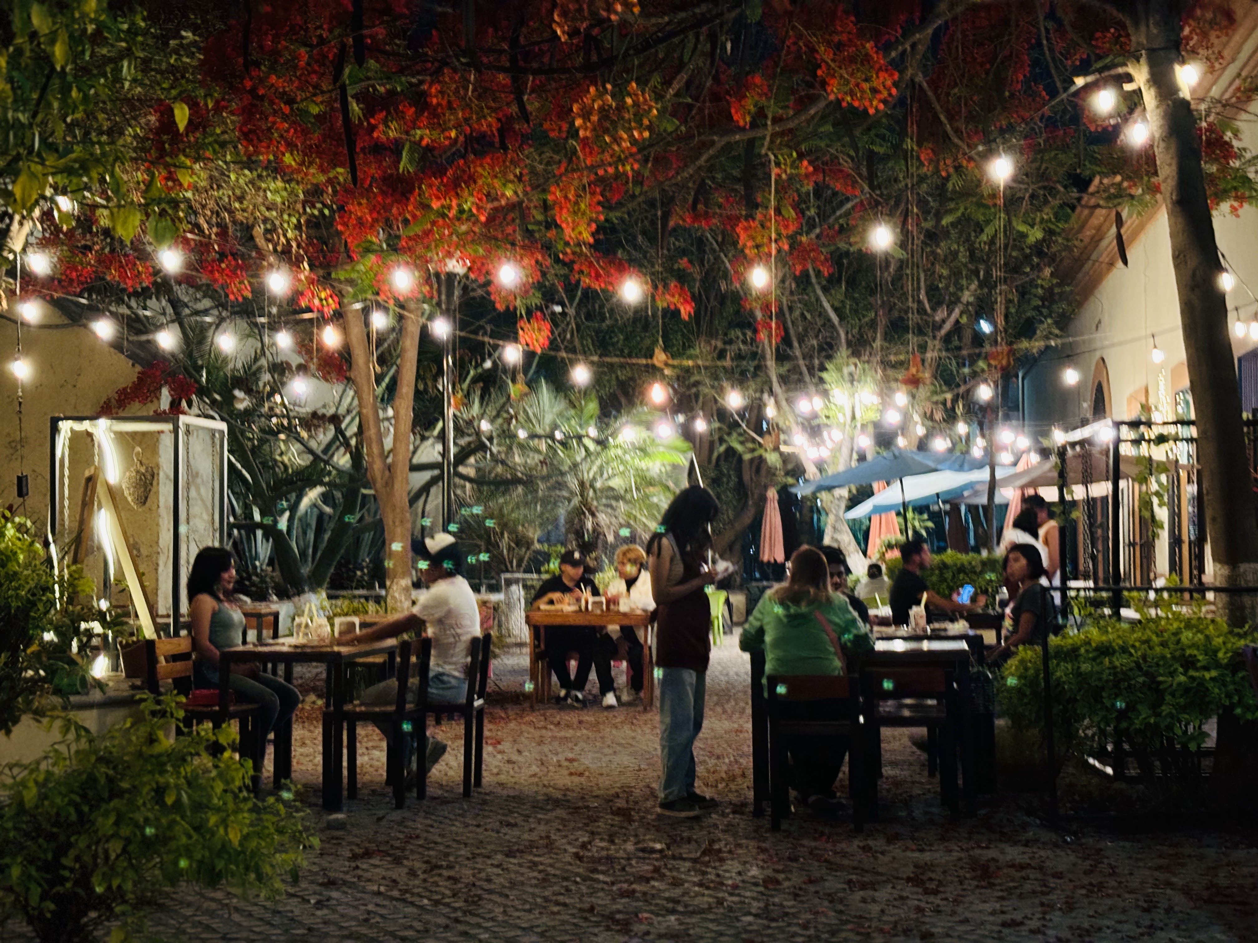 Maple Restaurant image 4