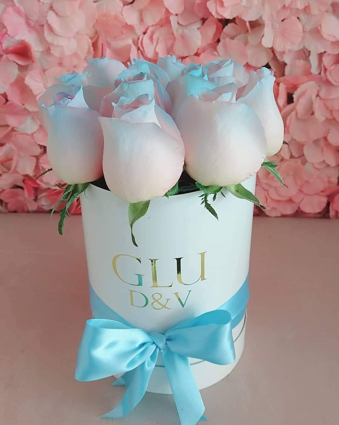 Restaurante Mi Lupita image 7