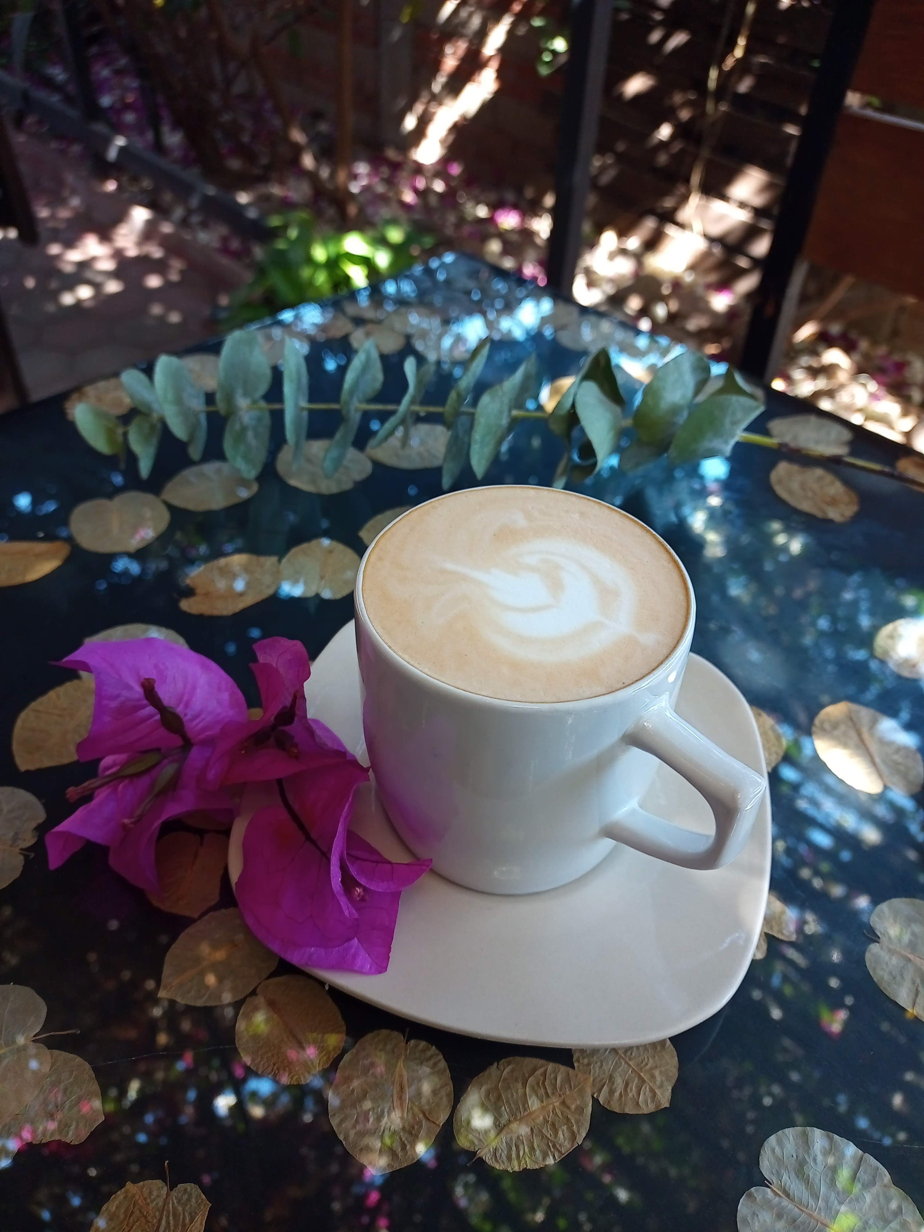 Restaurant La Casita image 4