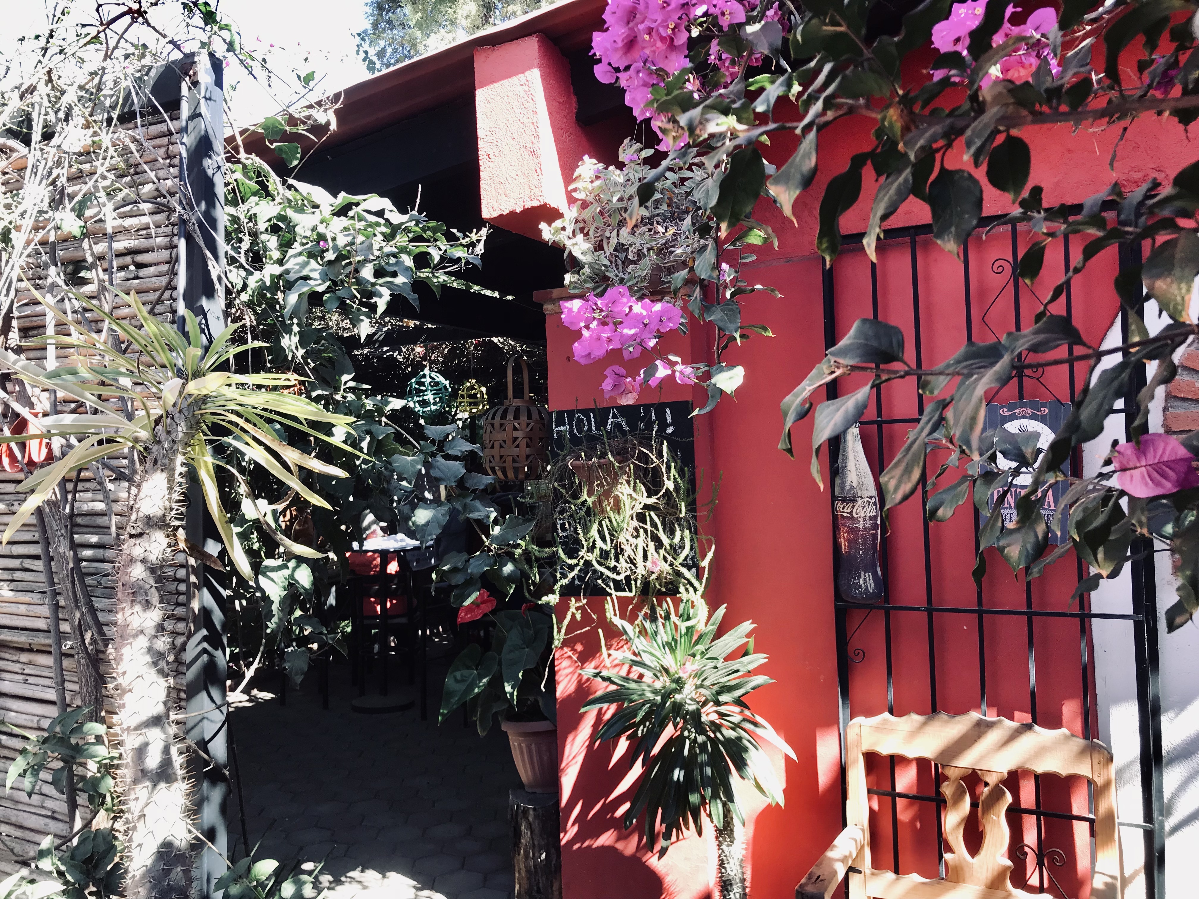 Restaurant La Casita image 9