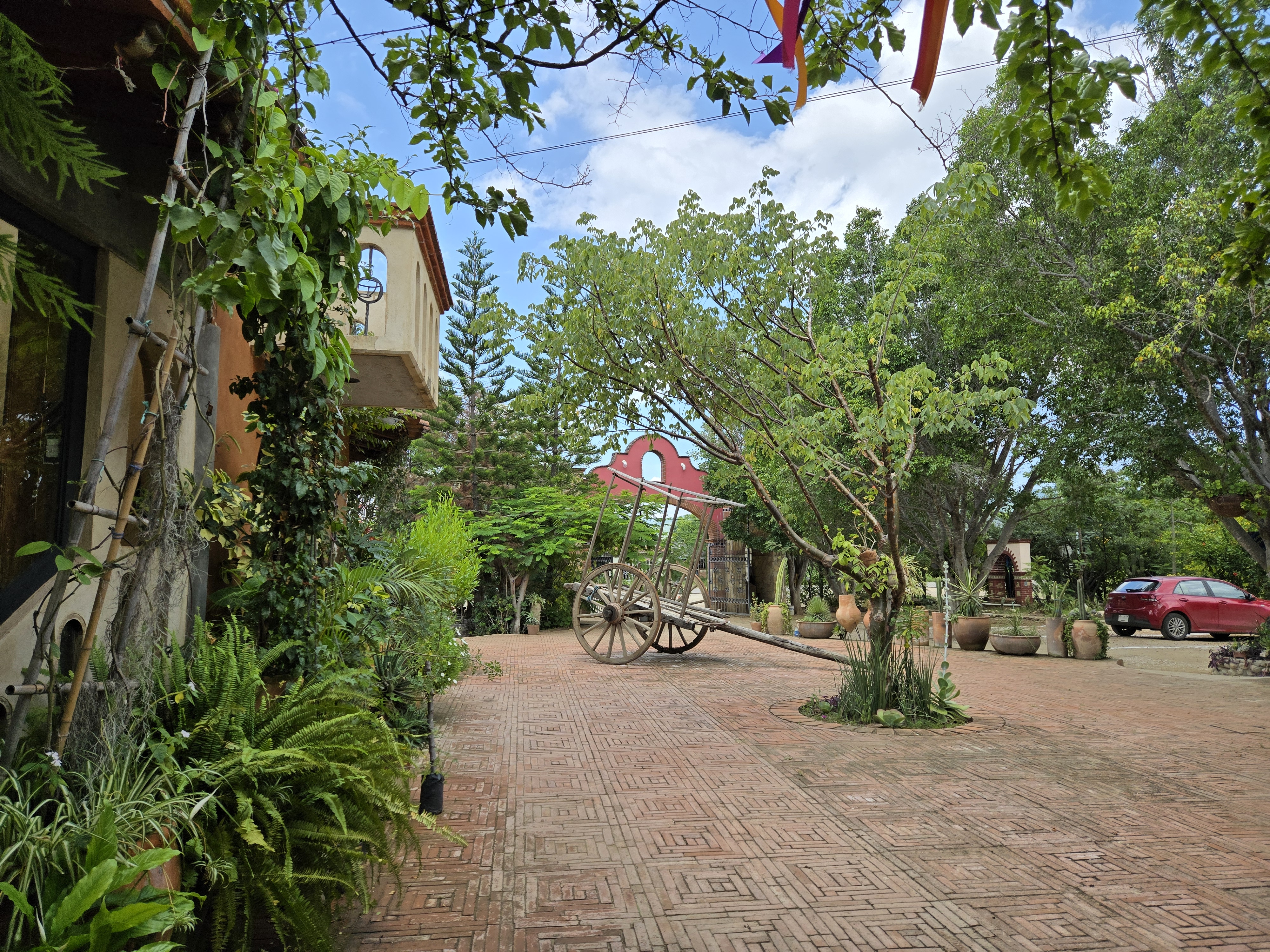 Azucena Zapoteca image 9