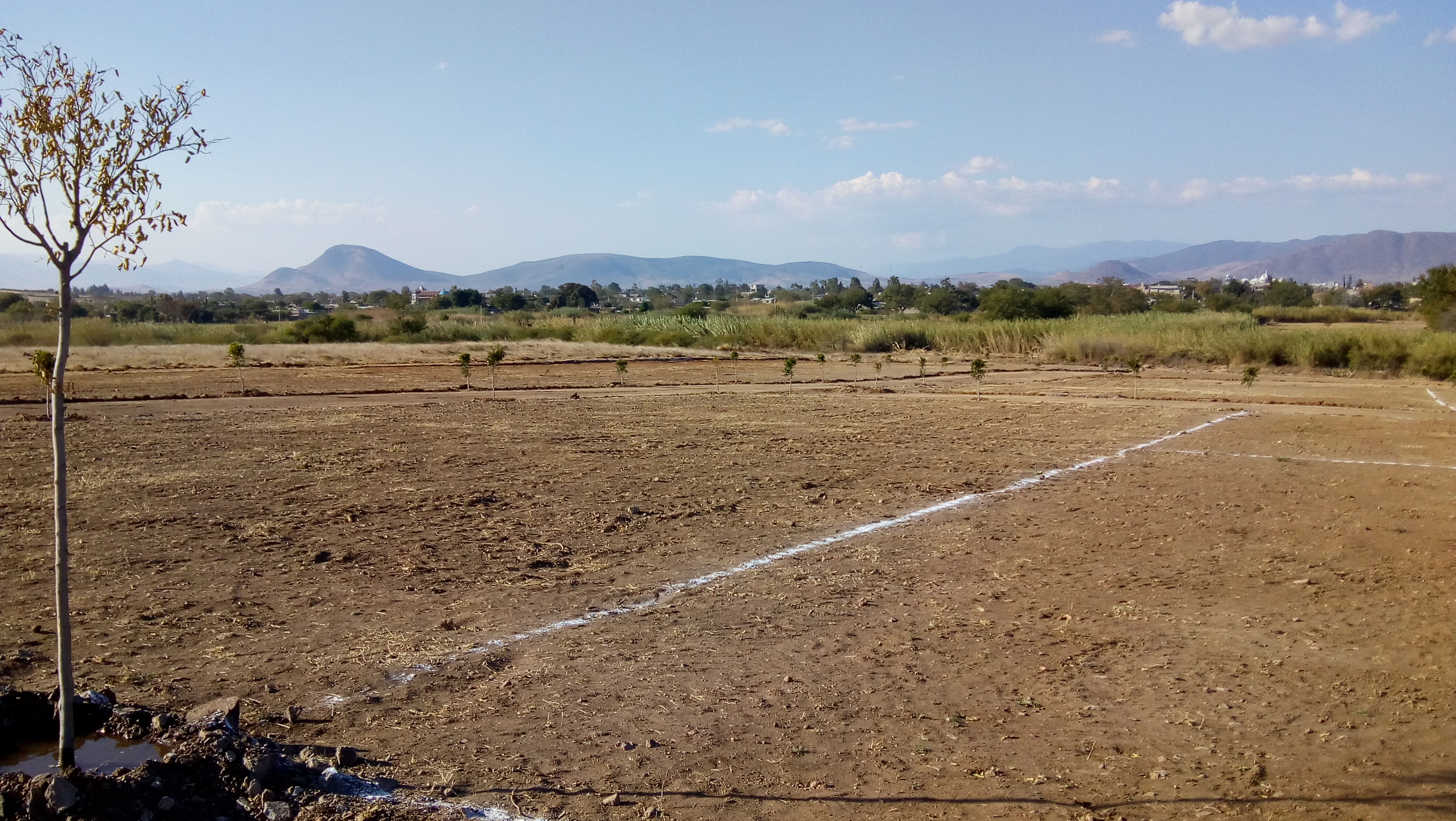 Restaurant El Sabor Oaxaqueño image 3