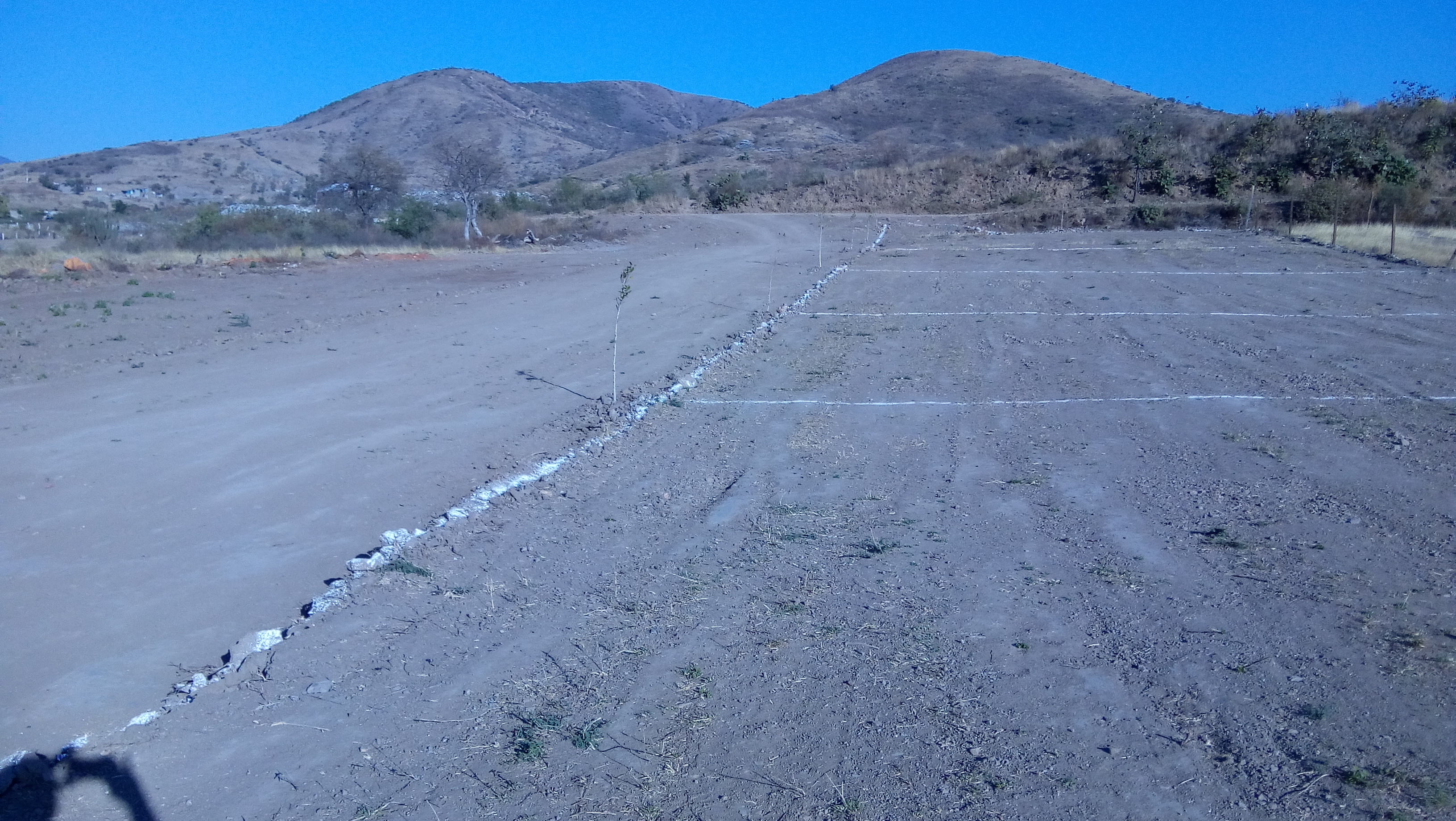 Restaurant El Sabor Oaxaqueño image 4