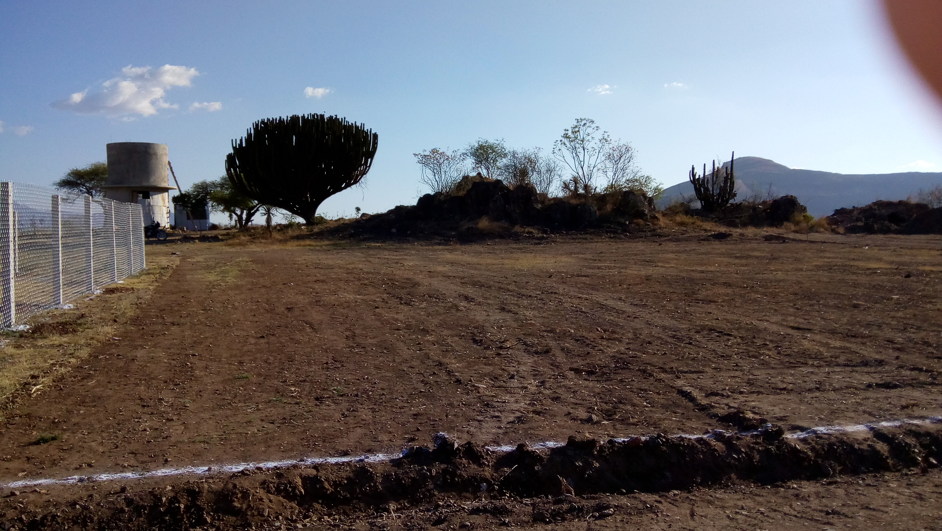 Restaurant El Sabor Oaxaqueño image 7