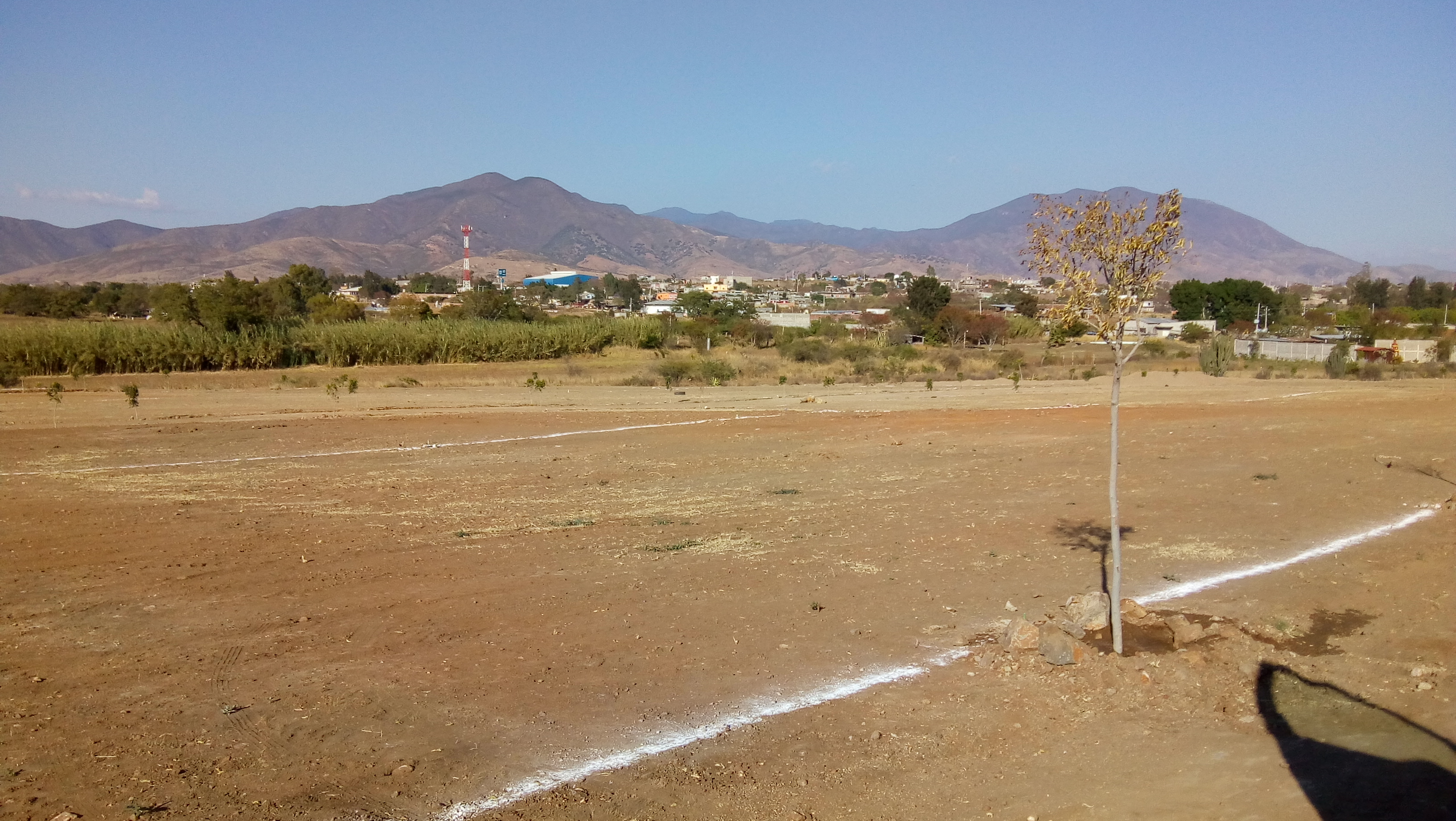 Restaurant El Sabor Oaxaqueño image 9