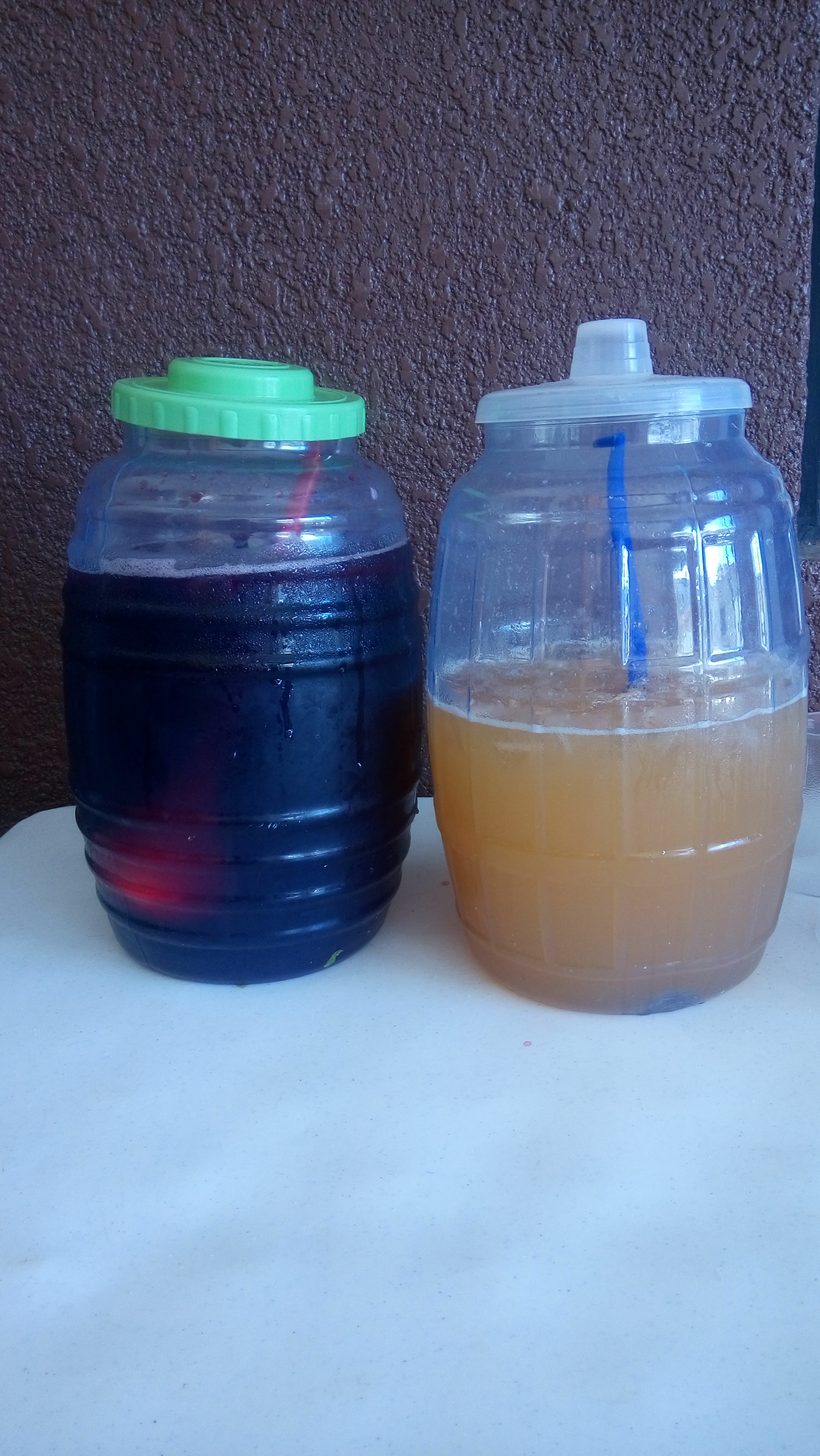 Las Bugambilias image 6