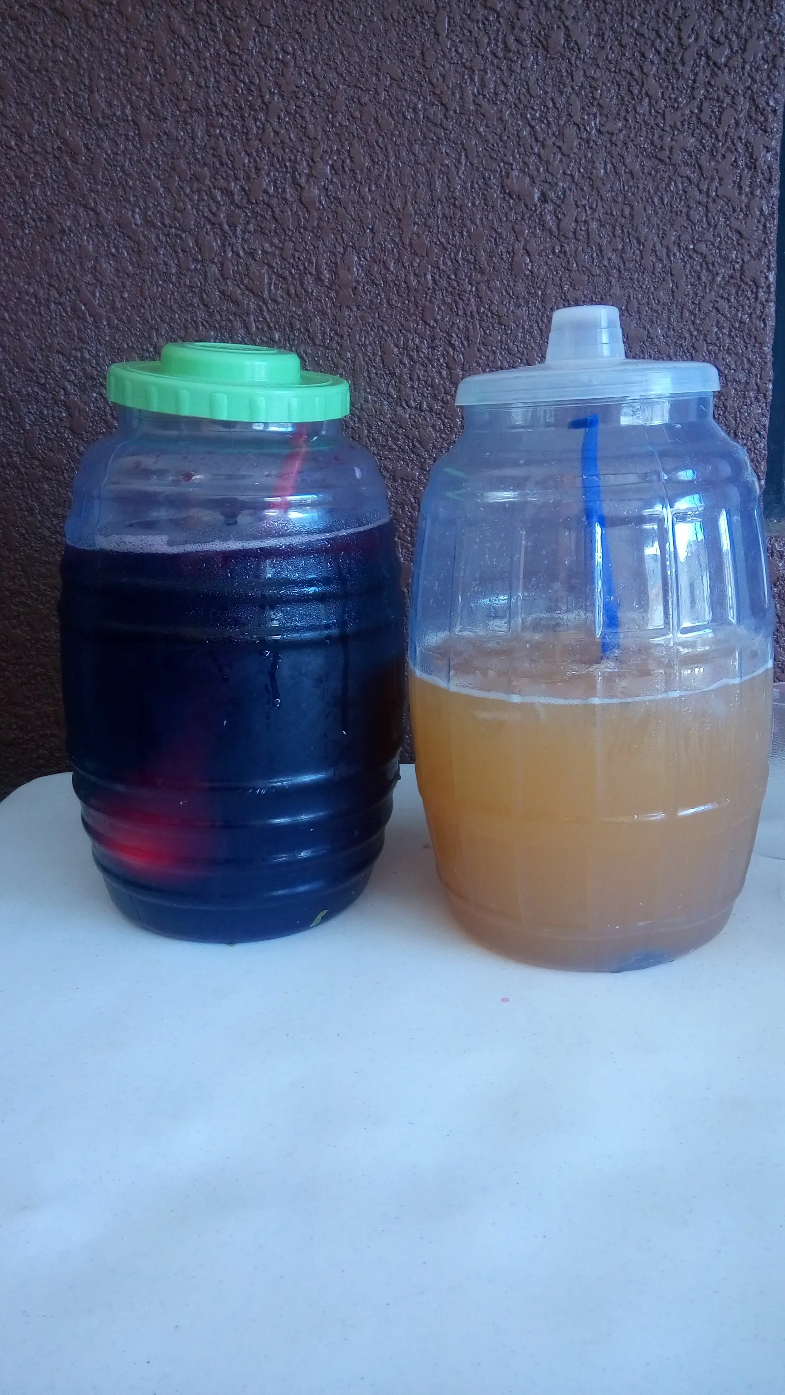 Las Bugambilias image 6
