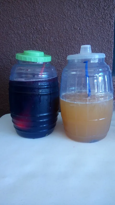Las Bugambilias image 6