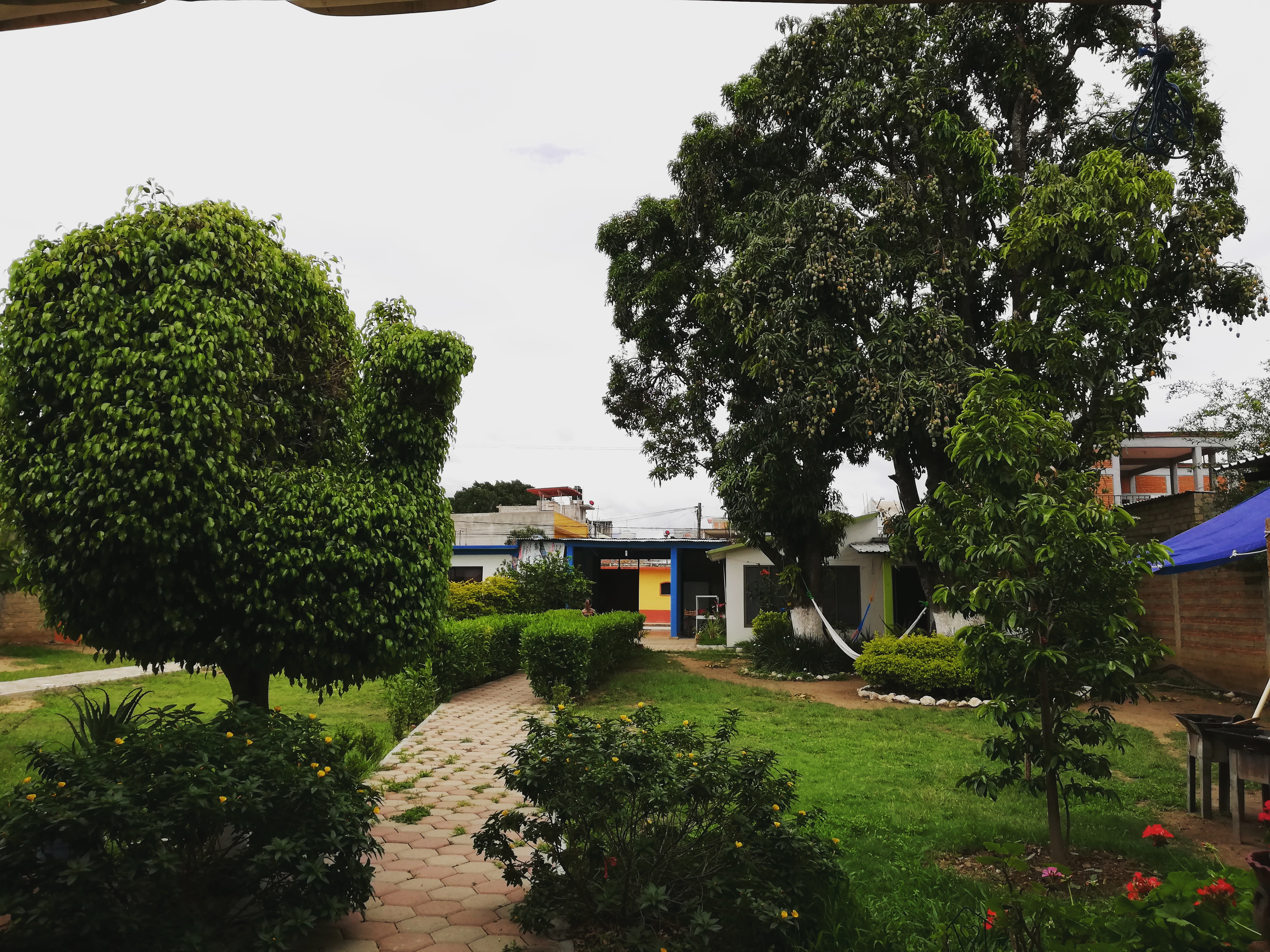 Los Mangales Restaurante image 2