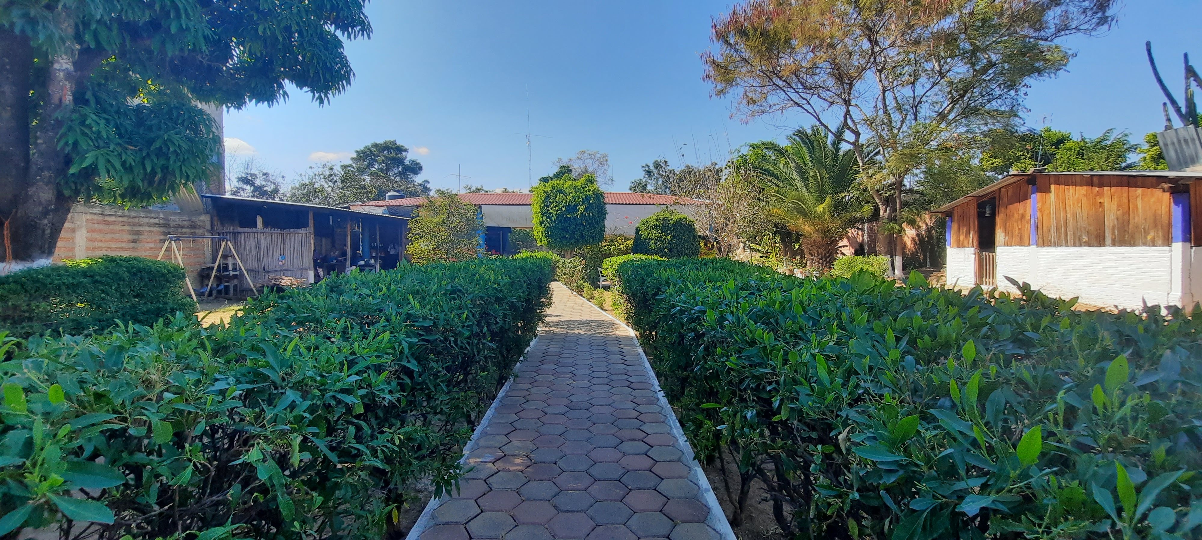 Los Mangales Restaurante image 8