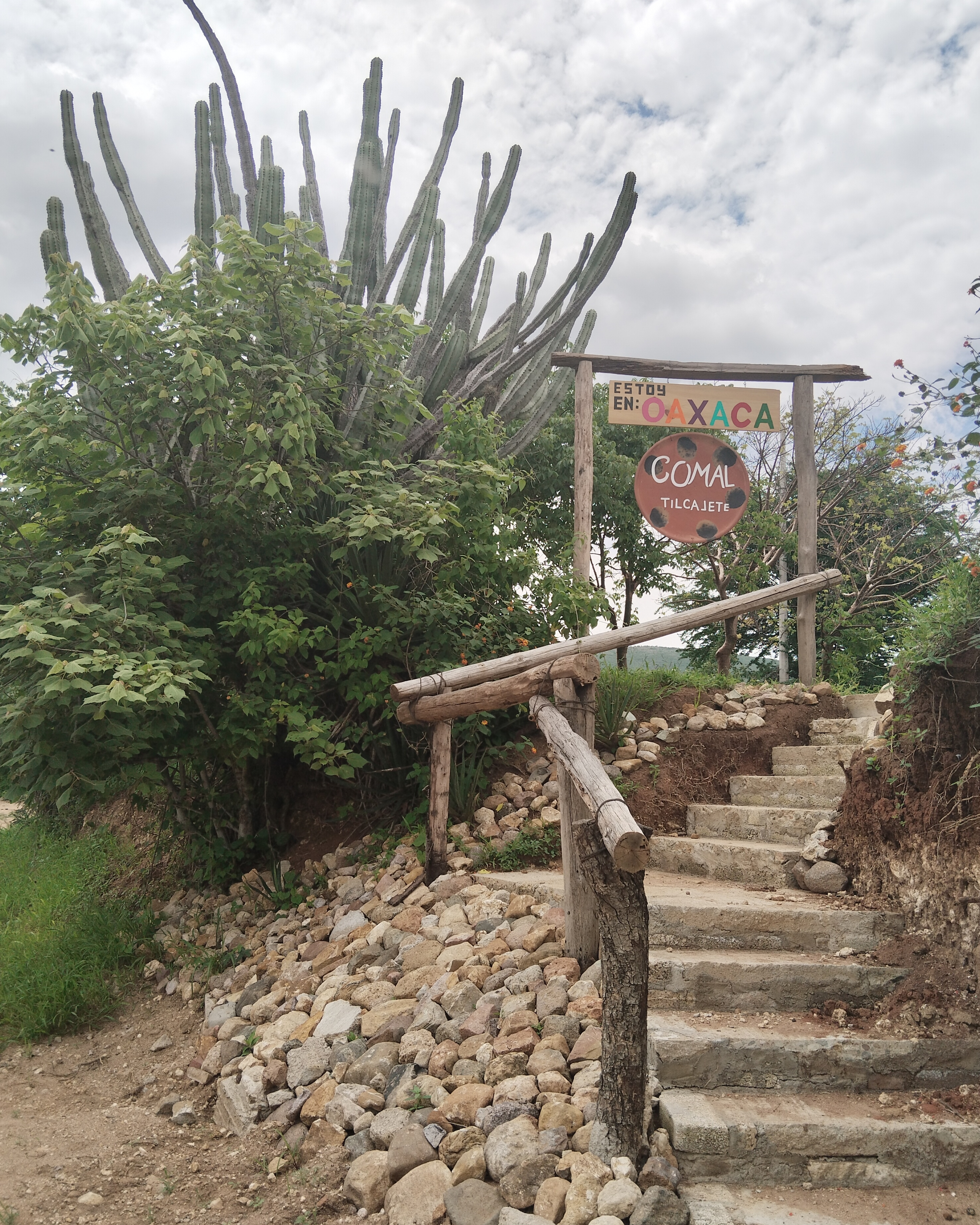 COMAL Tilcajete restaurant image 3