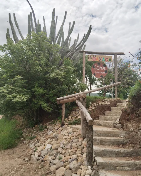 COMAL Tilcajete restaurant image 3