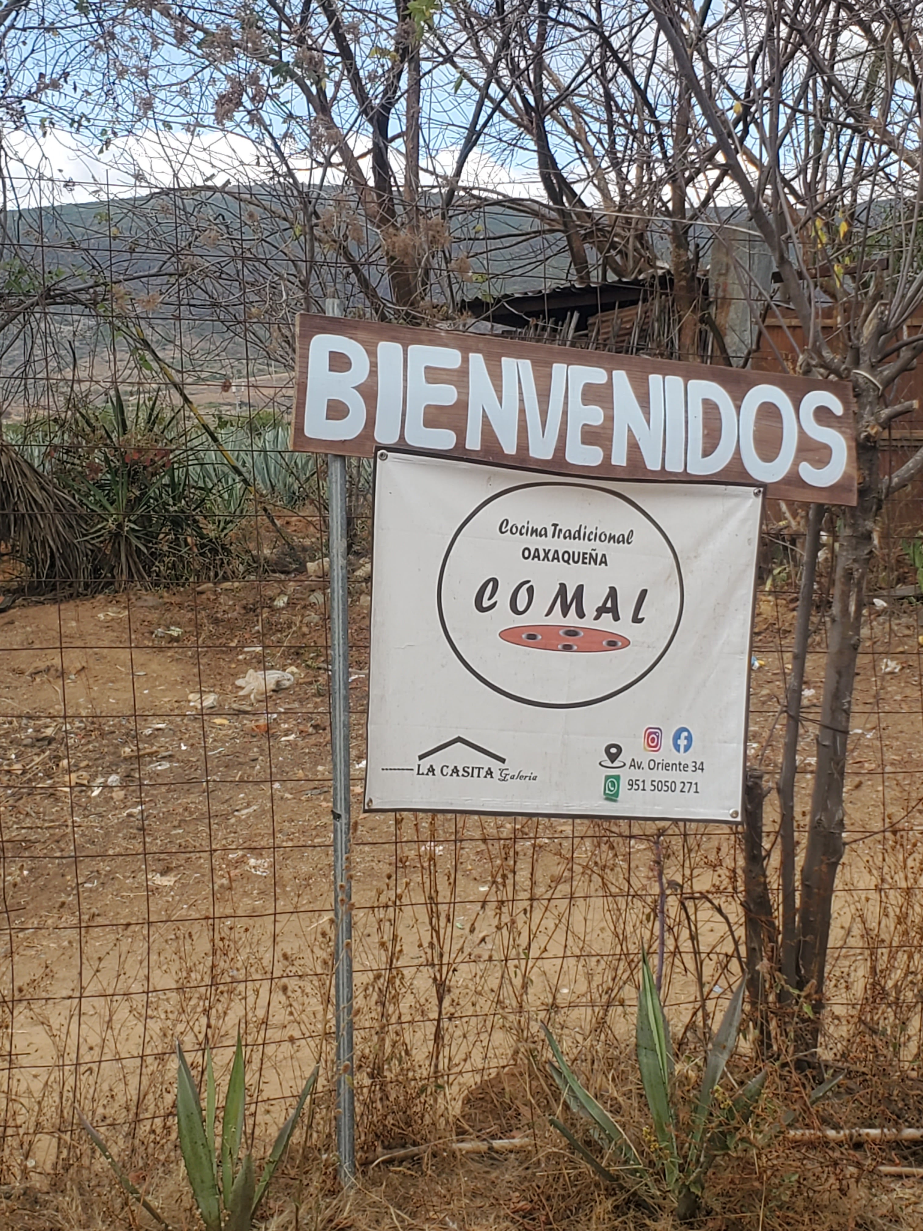 COMAL Tilcajete restaurant image 8