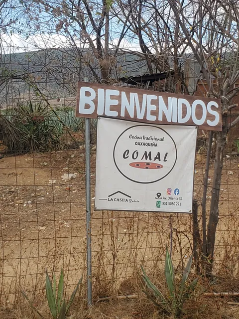 COMAL Tilcajete restaurant image 8