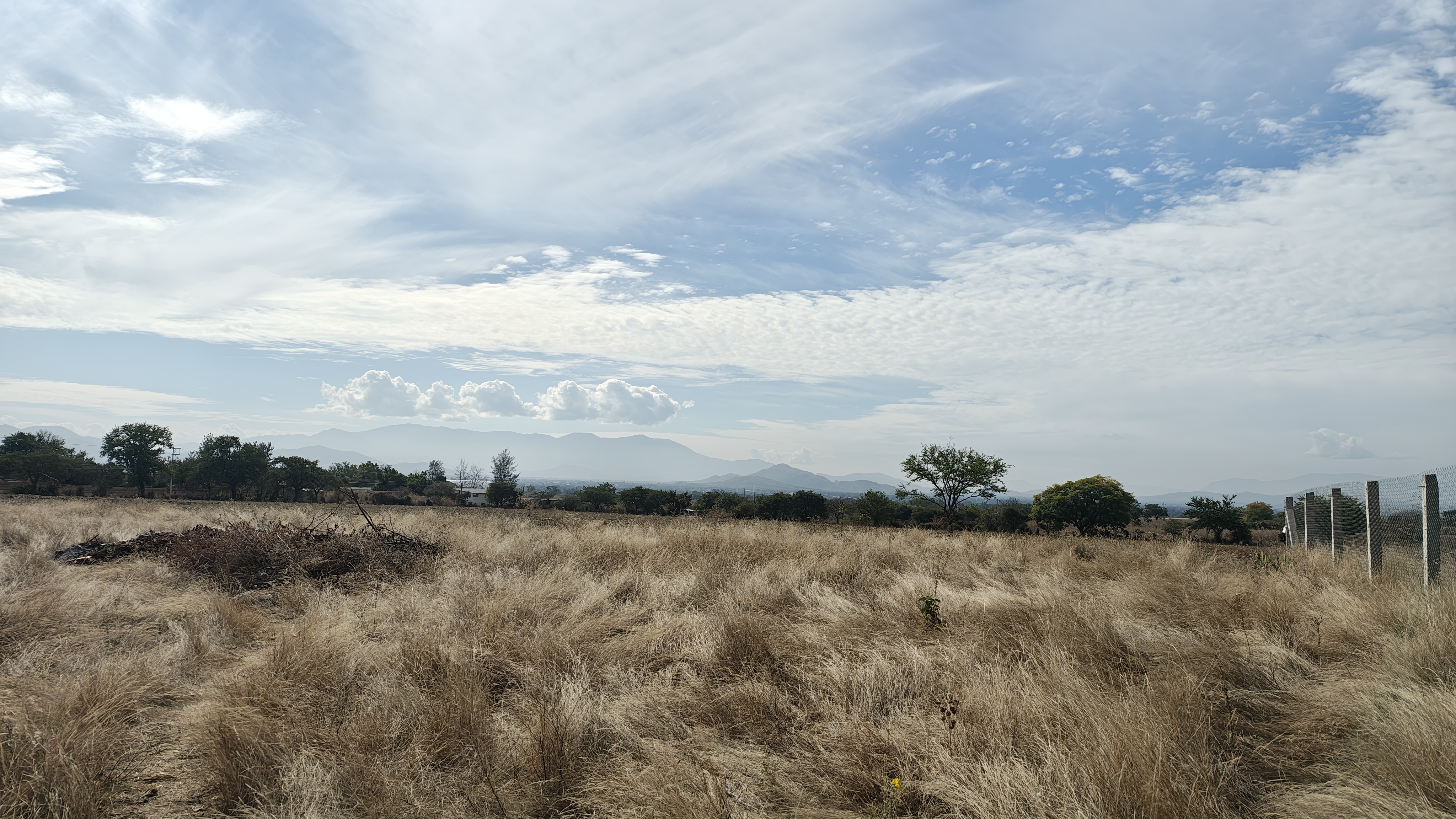 COMAL Tilcajete restaurant image 10