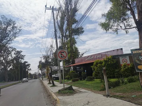Sabor a Mi image 6