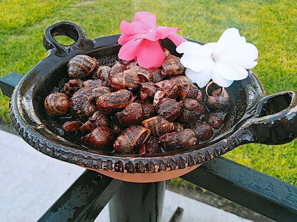 Pulque Curado Mingo's image 9