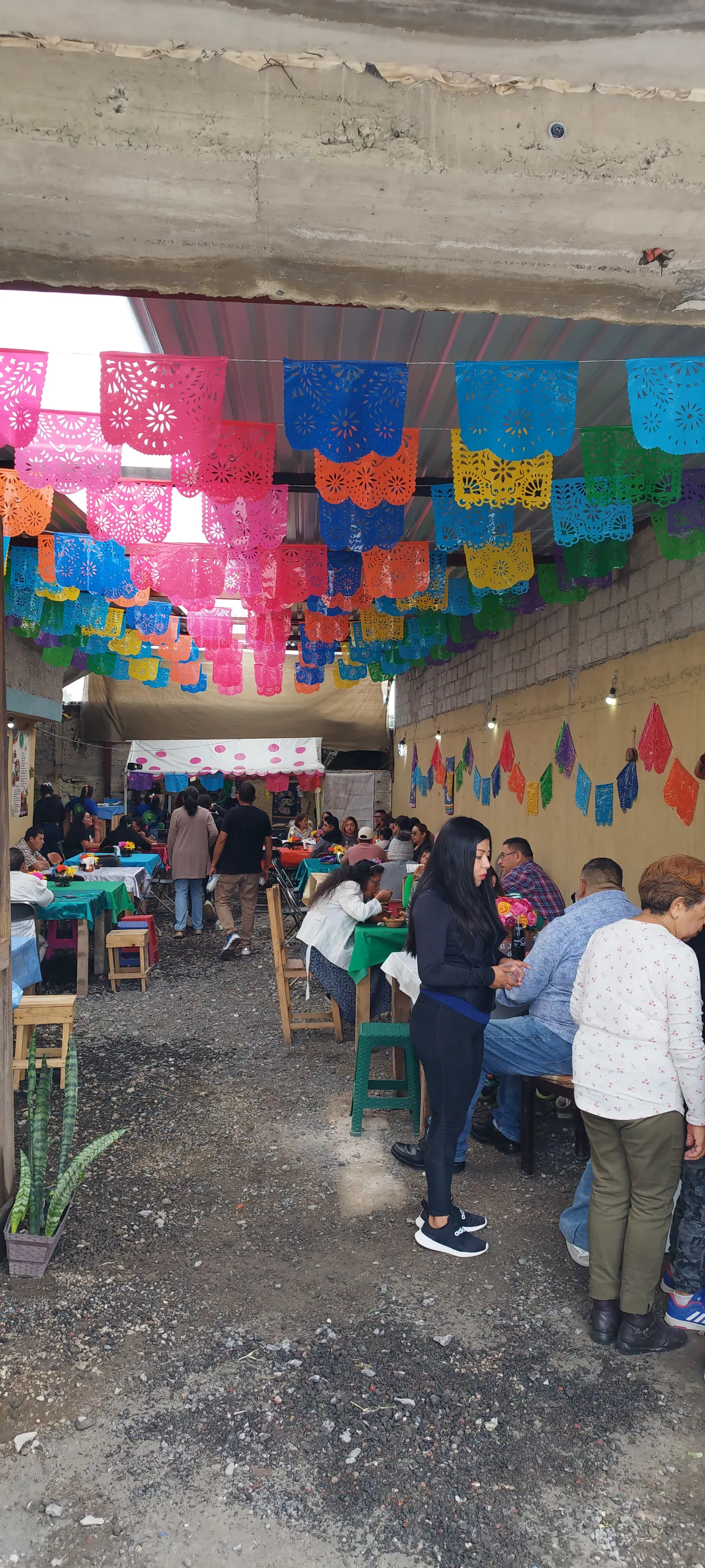 El Jardín del Sabor image 7