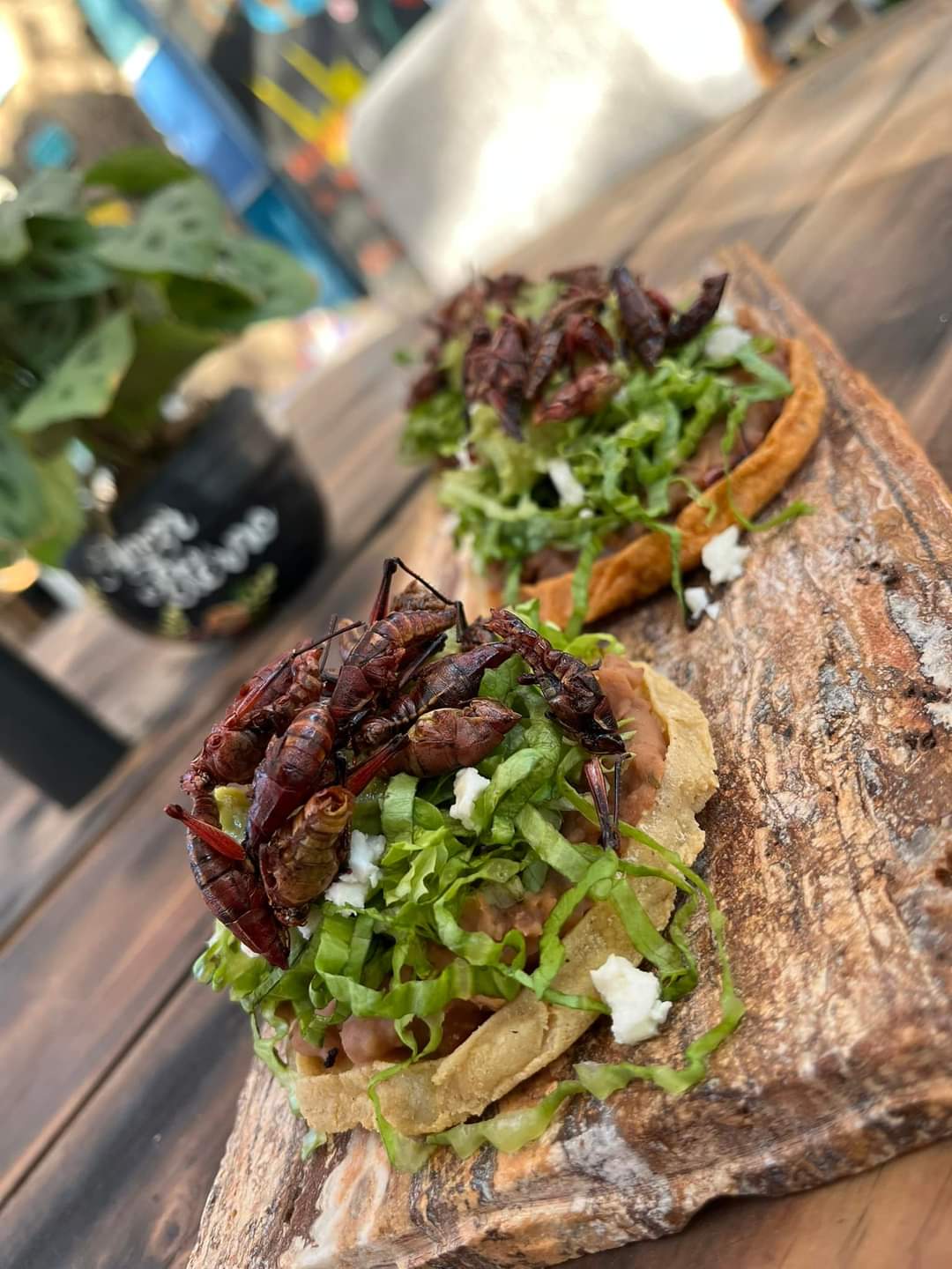 amor eterno restaurante & grill image 7