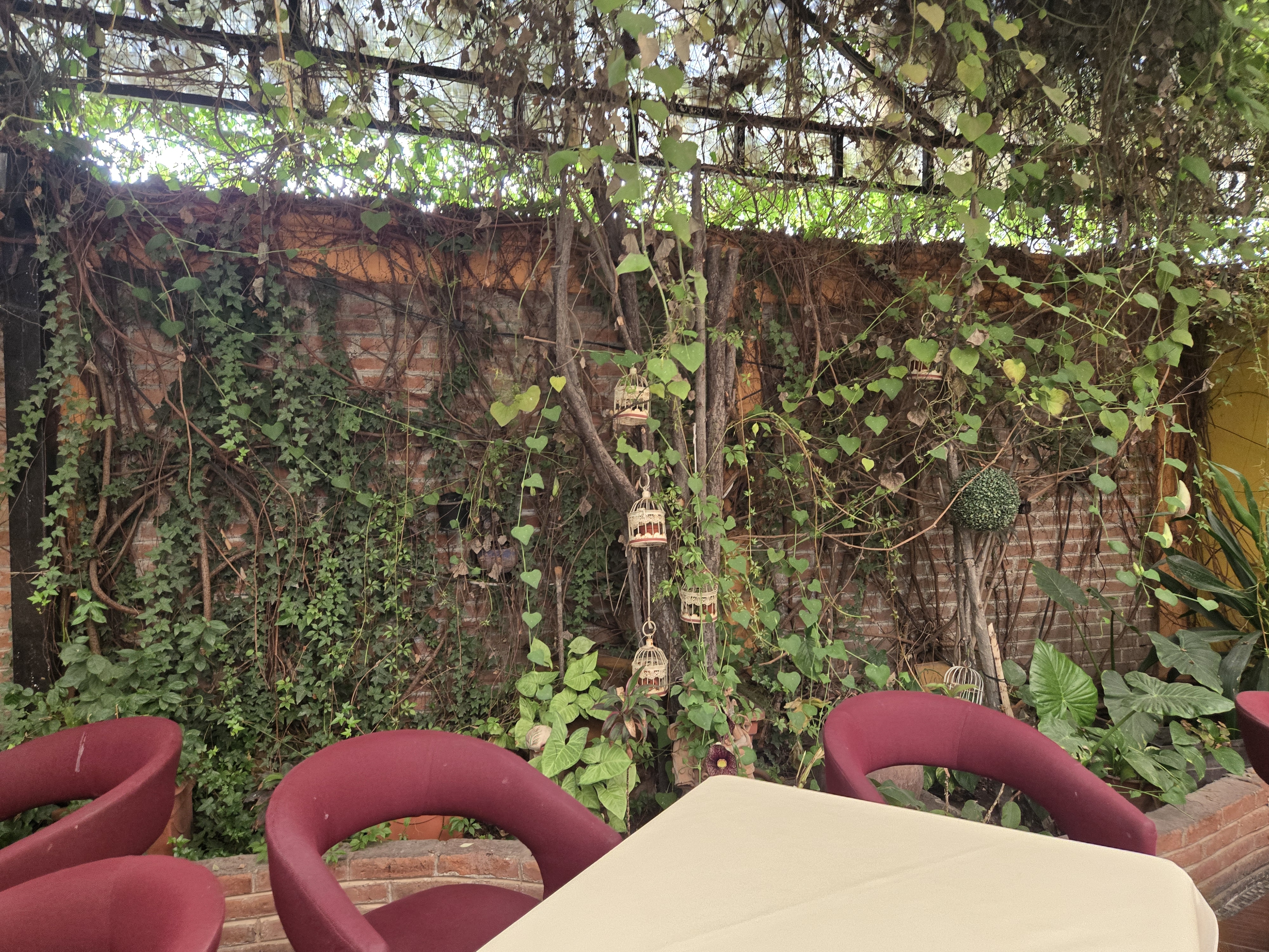 Cacao Restaurante image 9