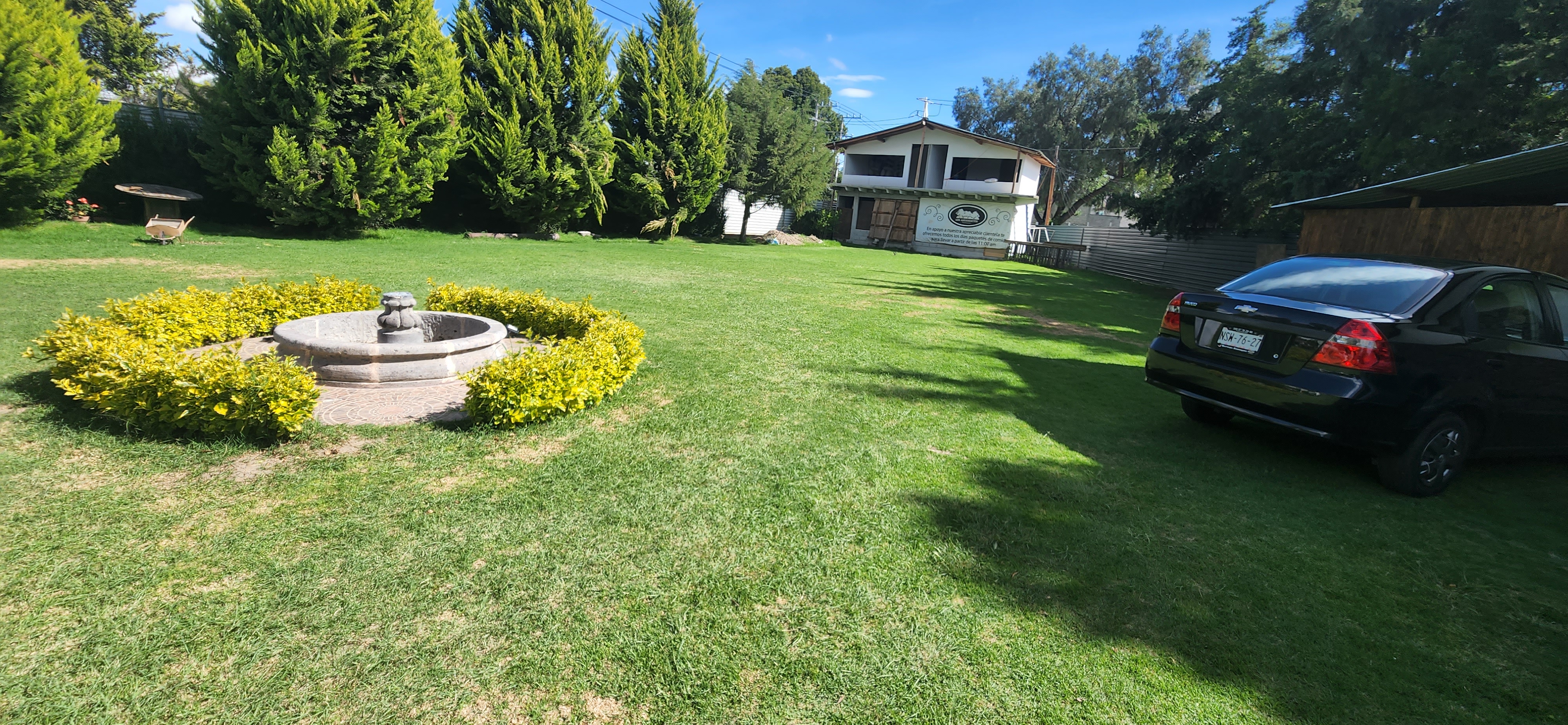 Los Ahuehuetes image 6