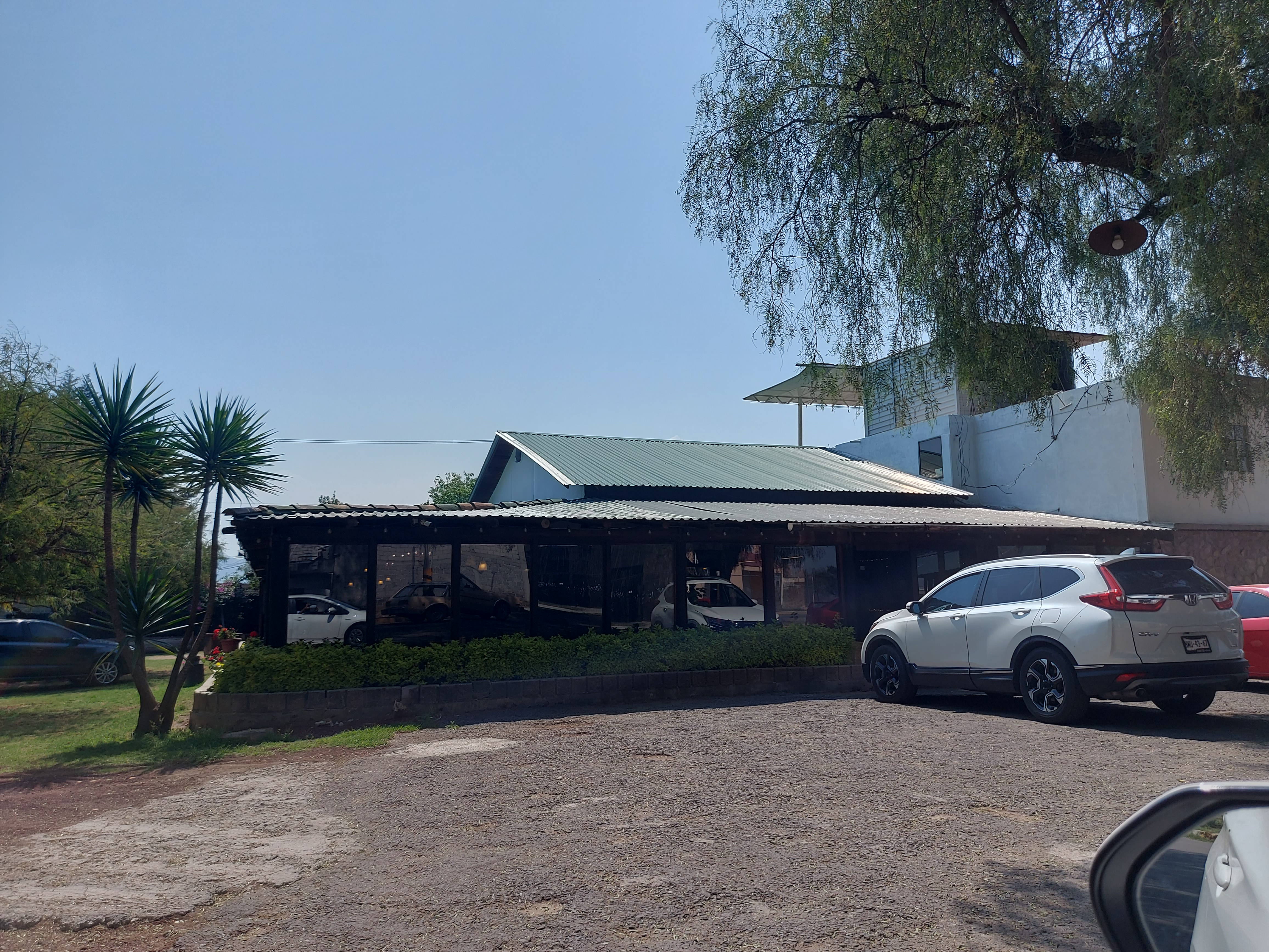 Los Ahuehuetes image 8