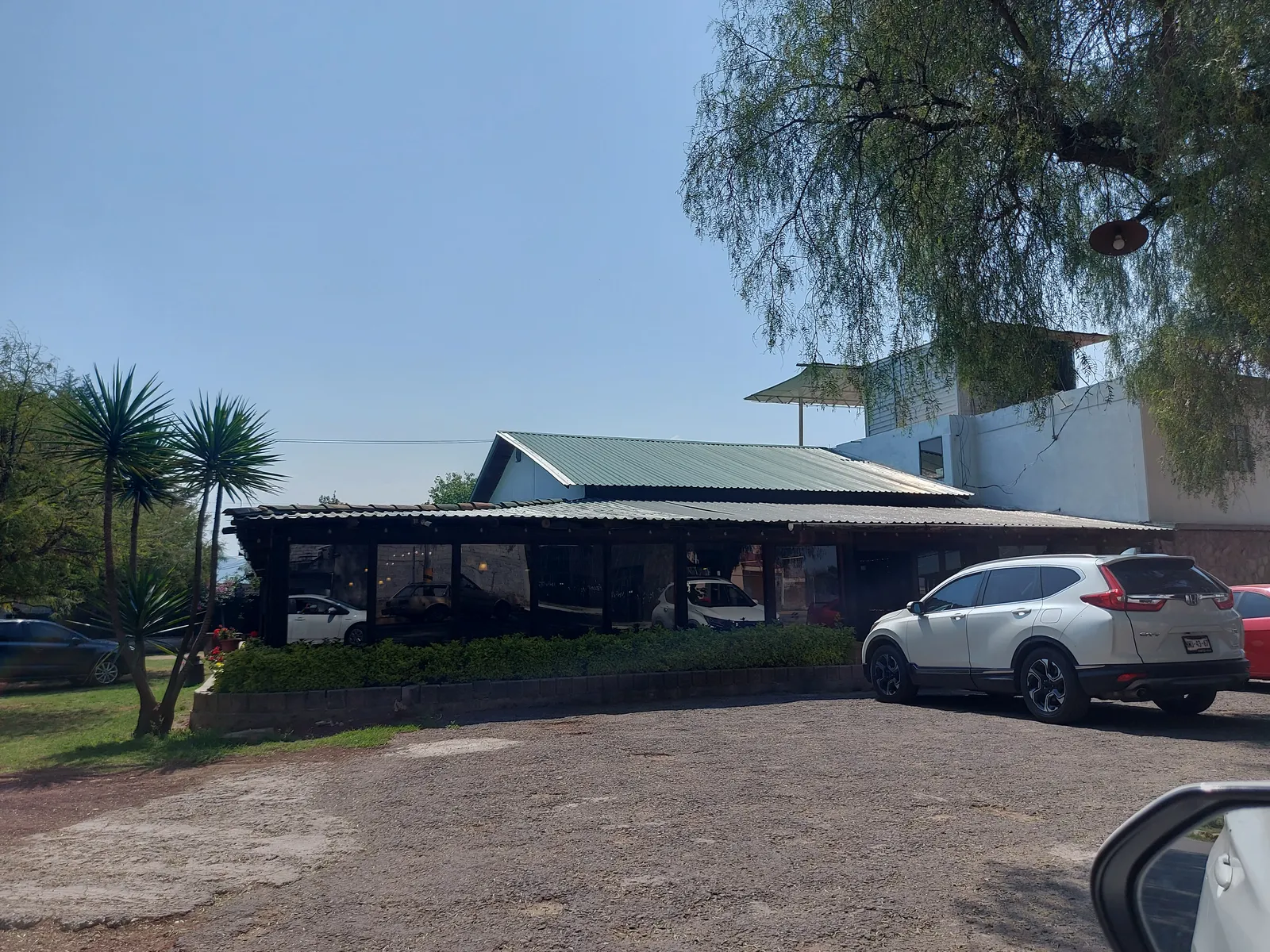 Los Ahuehuetes image 8