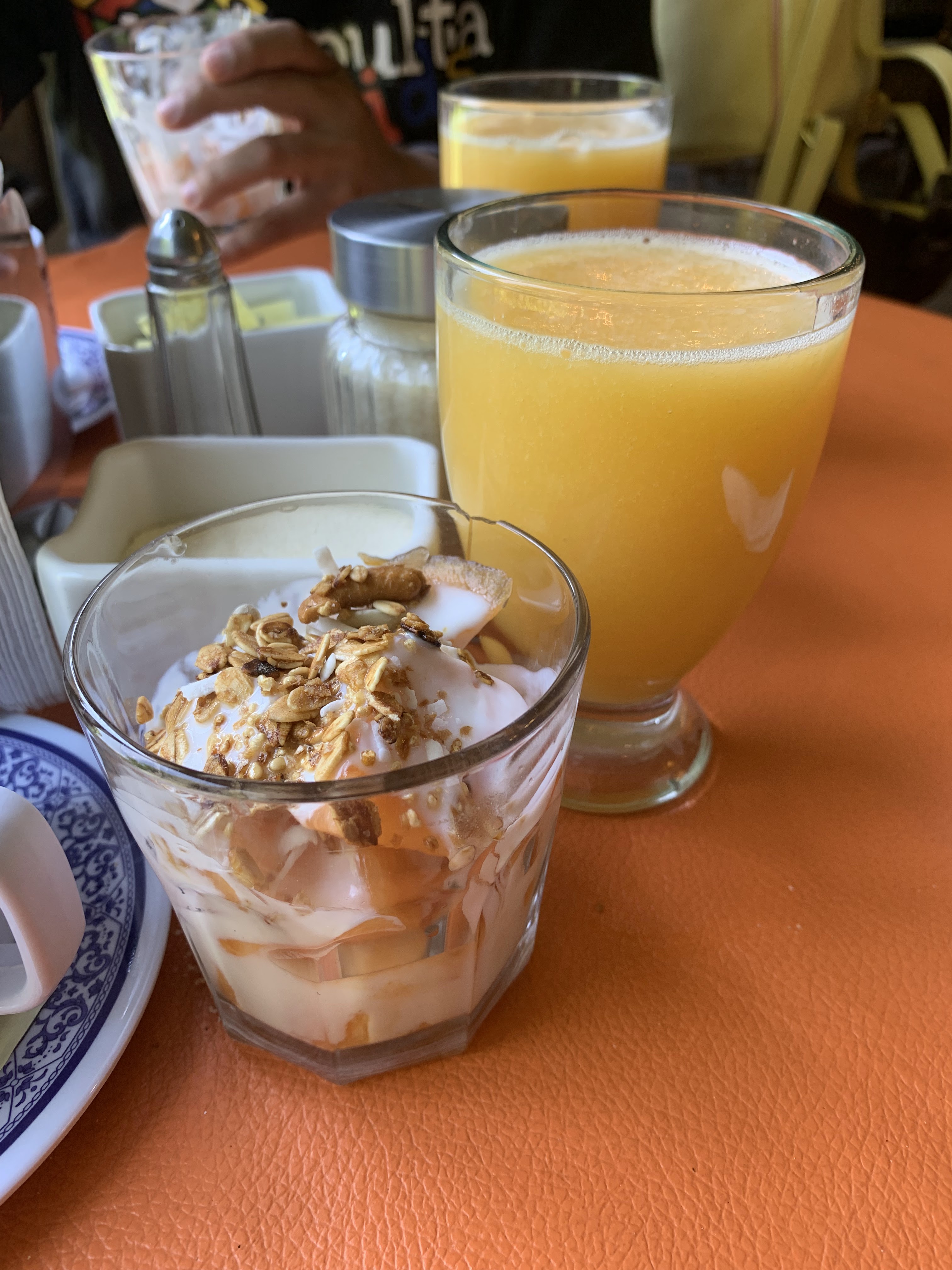 Los Ahuehuetes image 9