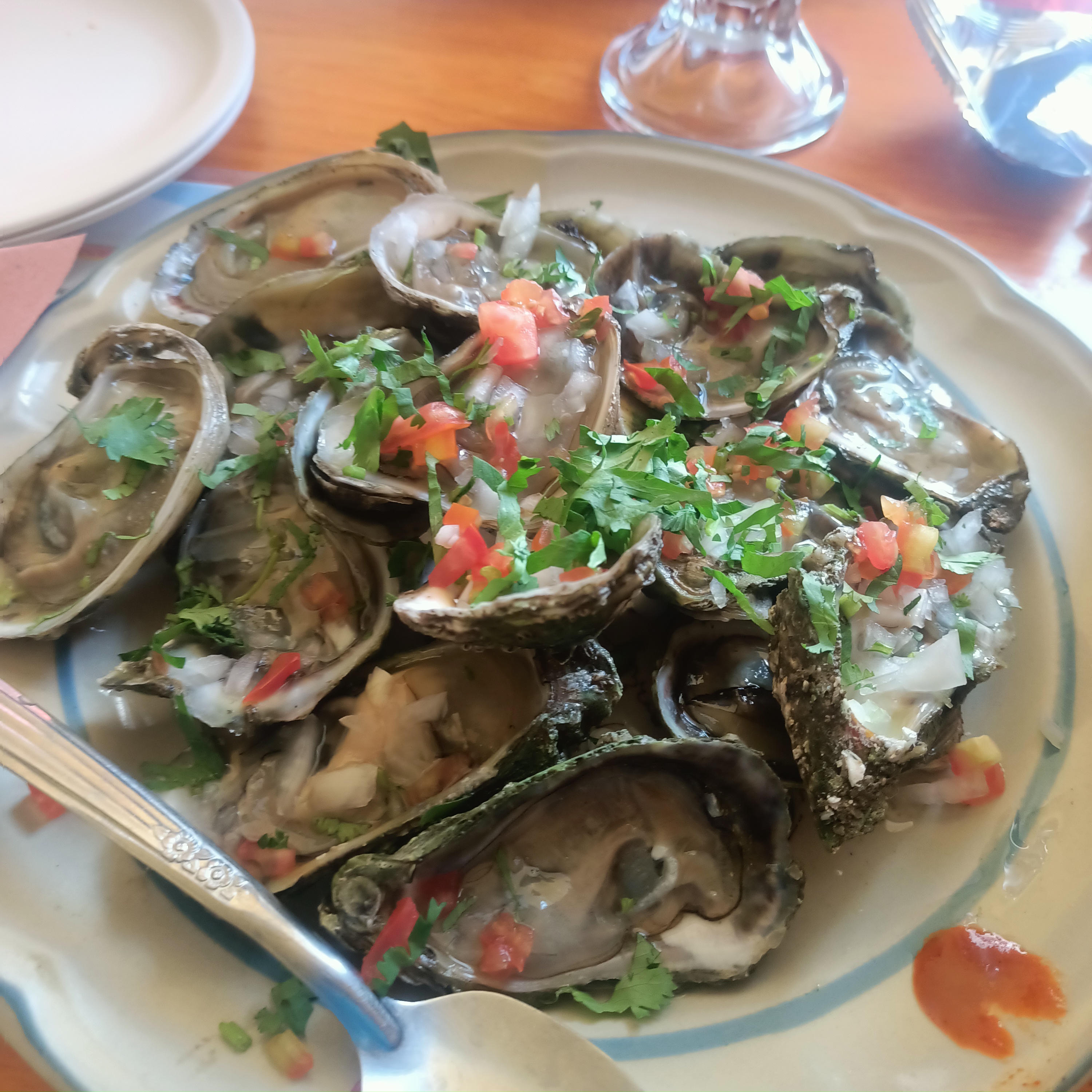 Mariscos shark image 3