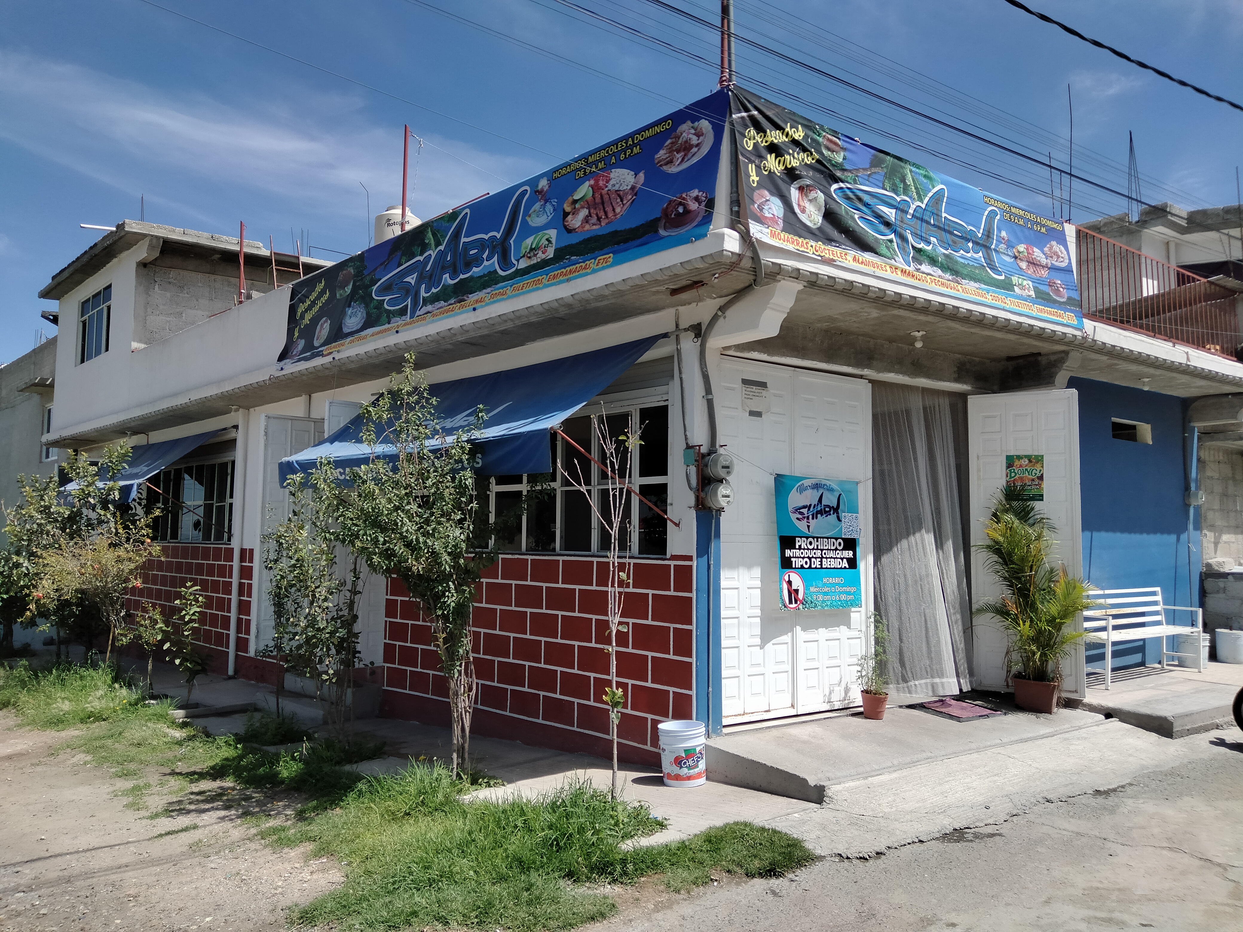 Mariscos shark image 7