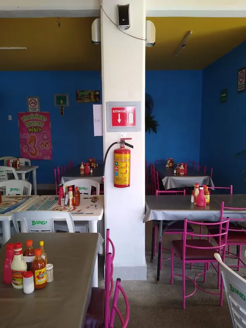 Mariscos shark image 8