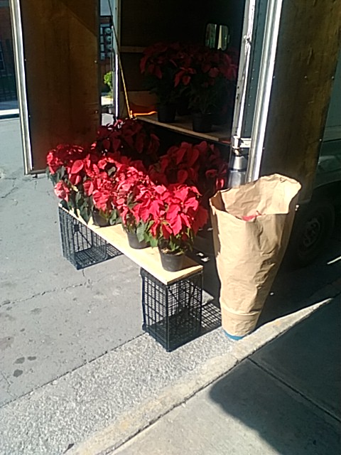 Carnitas "El Jefe" image 5